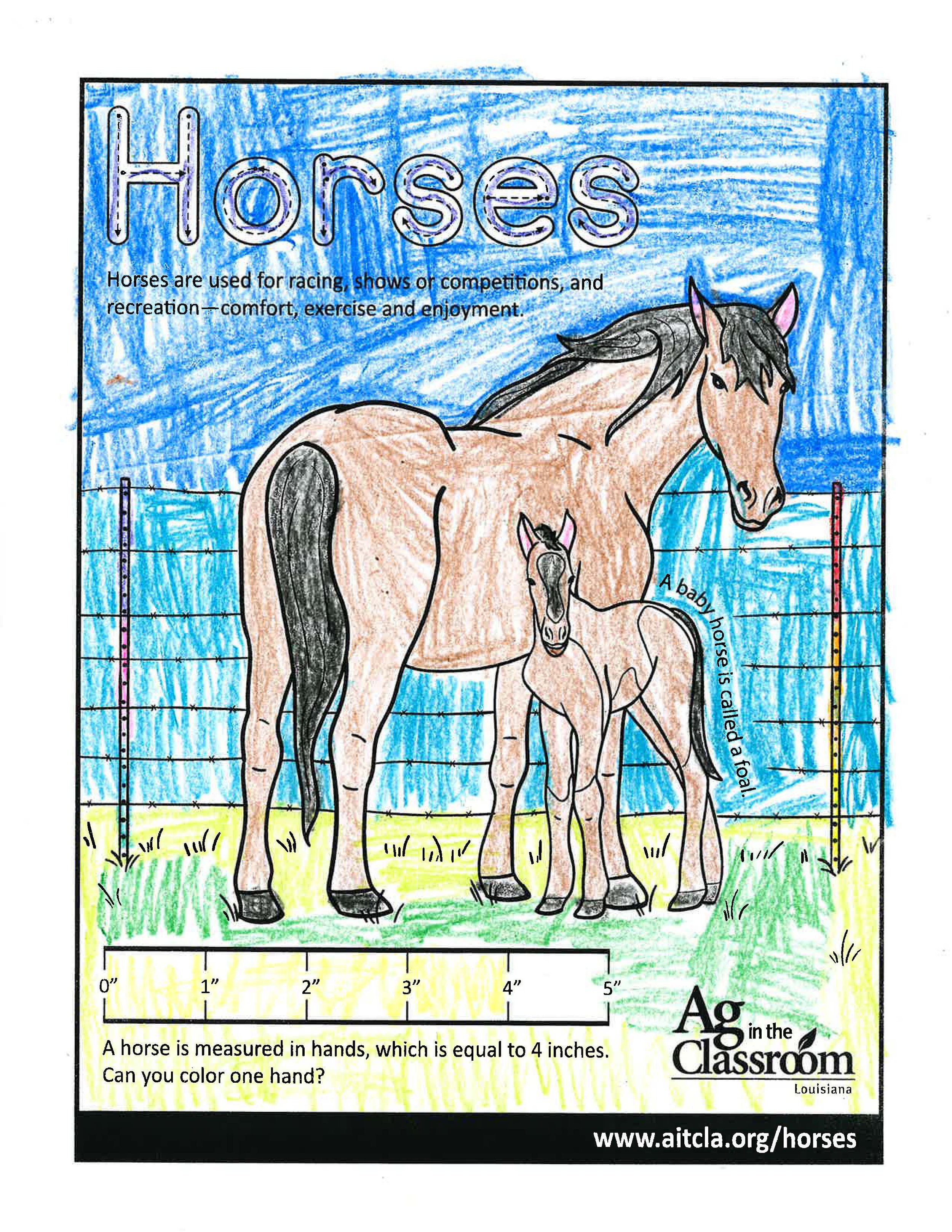 Horses_LouisianaAgWeek2024_Page_26.jpg