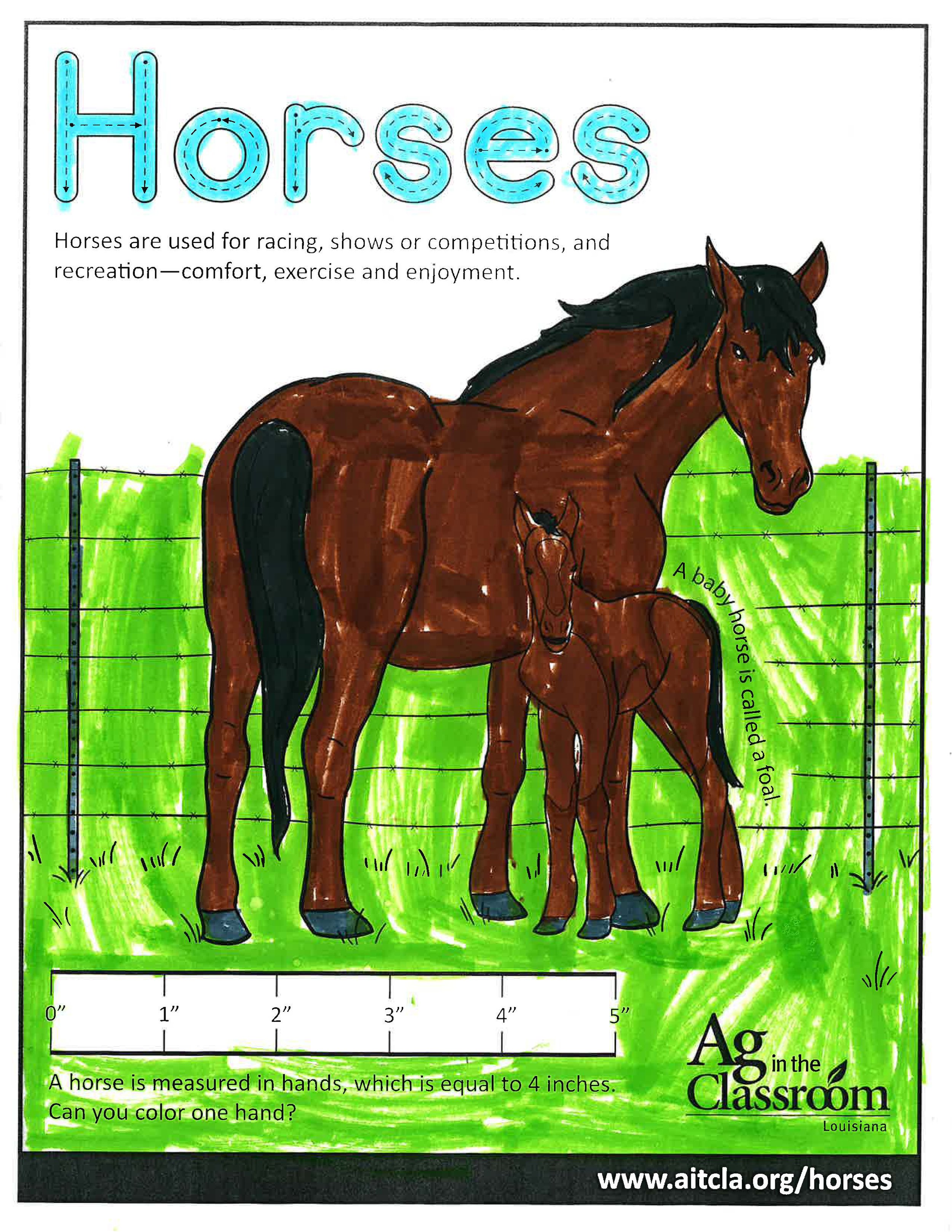 Horses_LouisianaAgWeek2024_Page_28.jpg