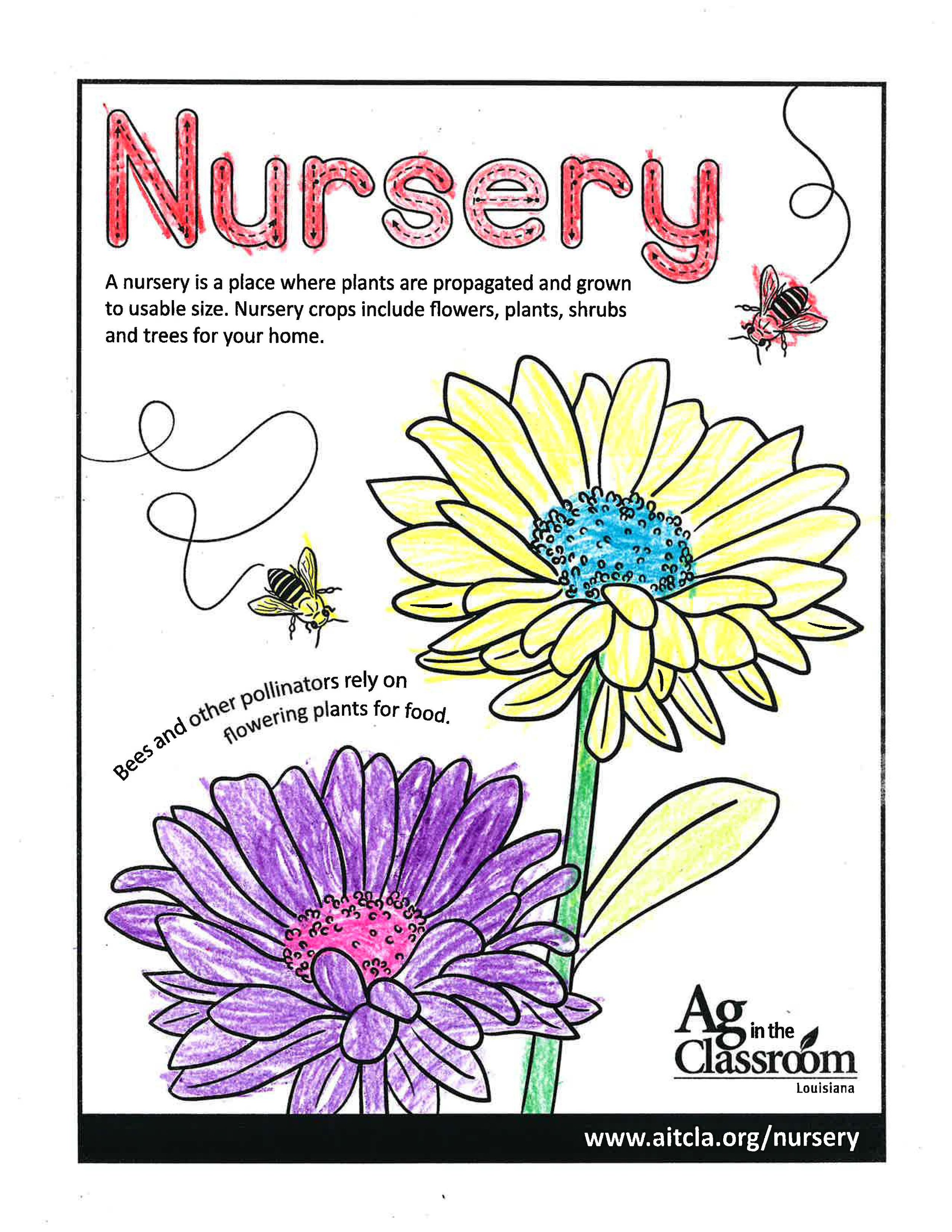 Nursery_LouisianaAgWeek2024_Page_19.jpg