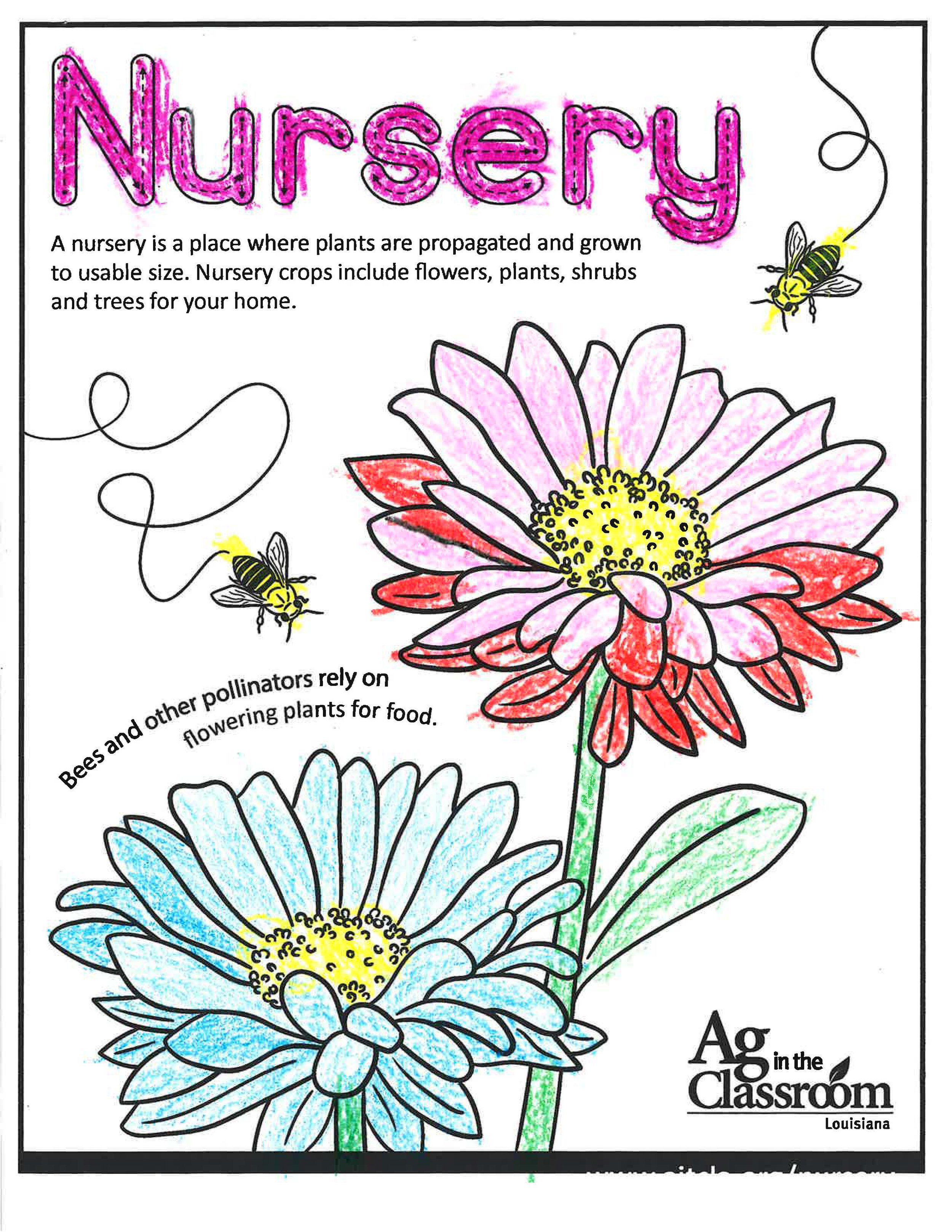 Nursery_LouisianaAgWeek2024_Page_20.jpg