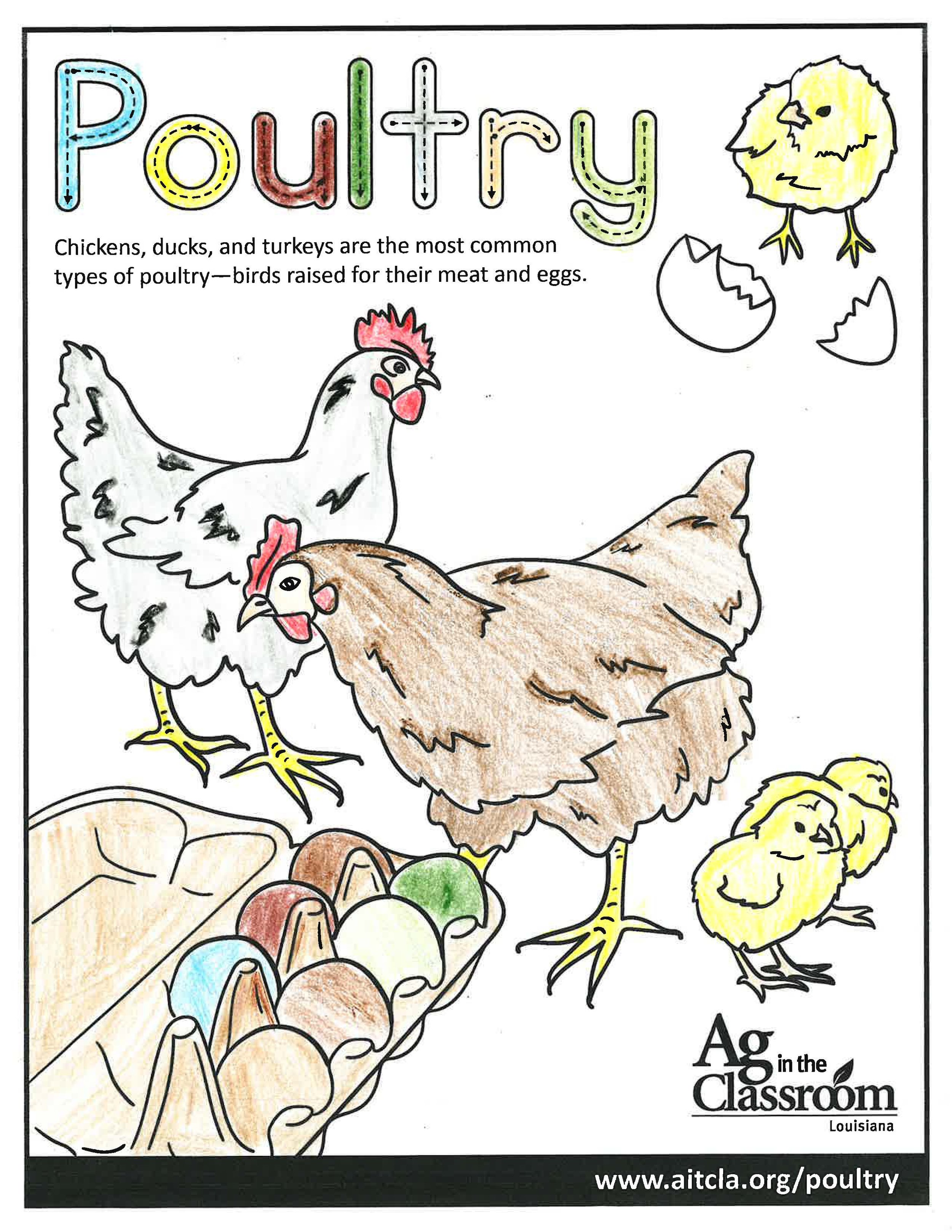 Poultry_LouisianaAgWeek2024_Page_01.jpg