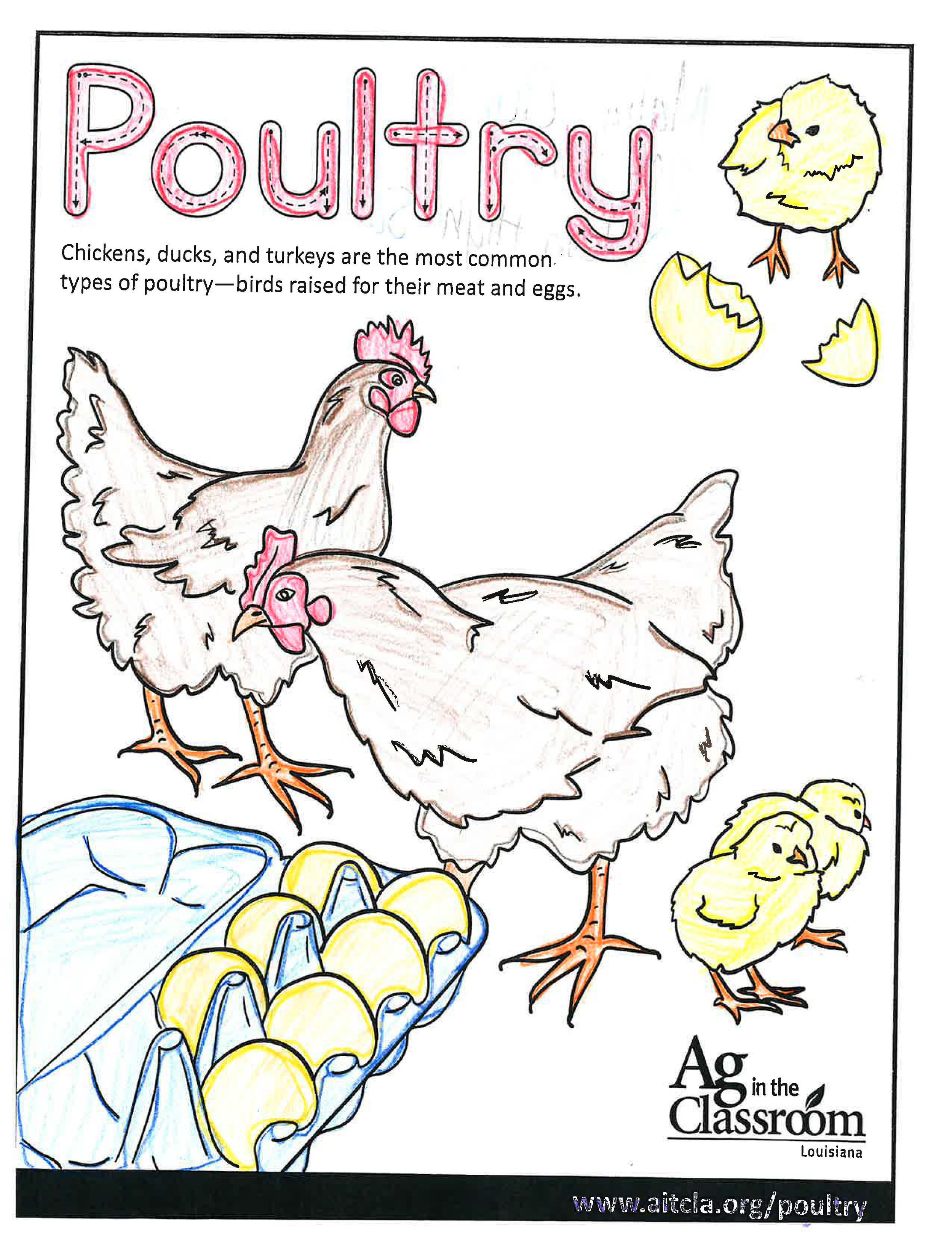 Poultry_LouisianaAgWeek2024_Page_02.jpg