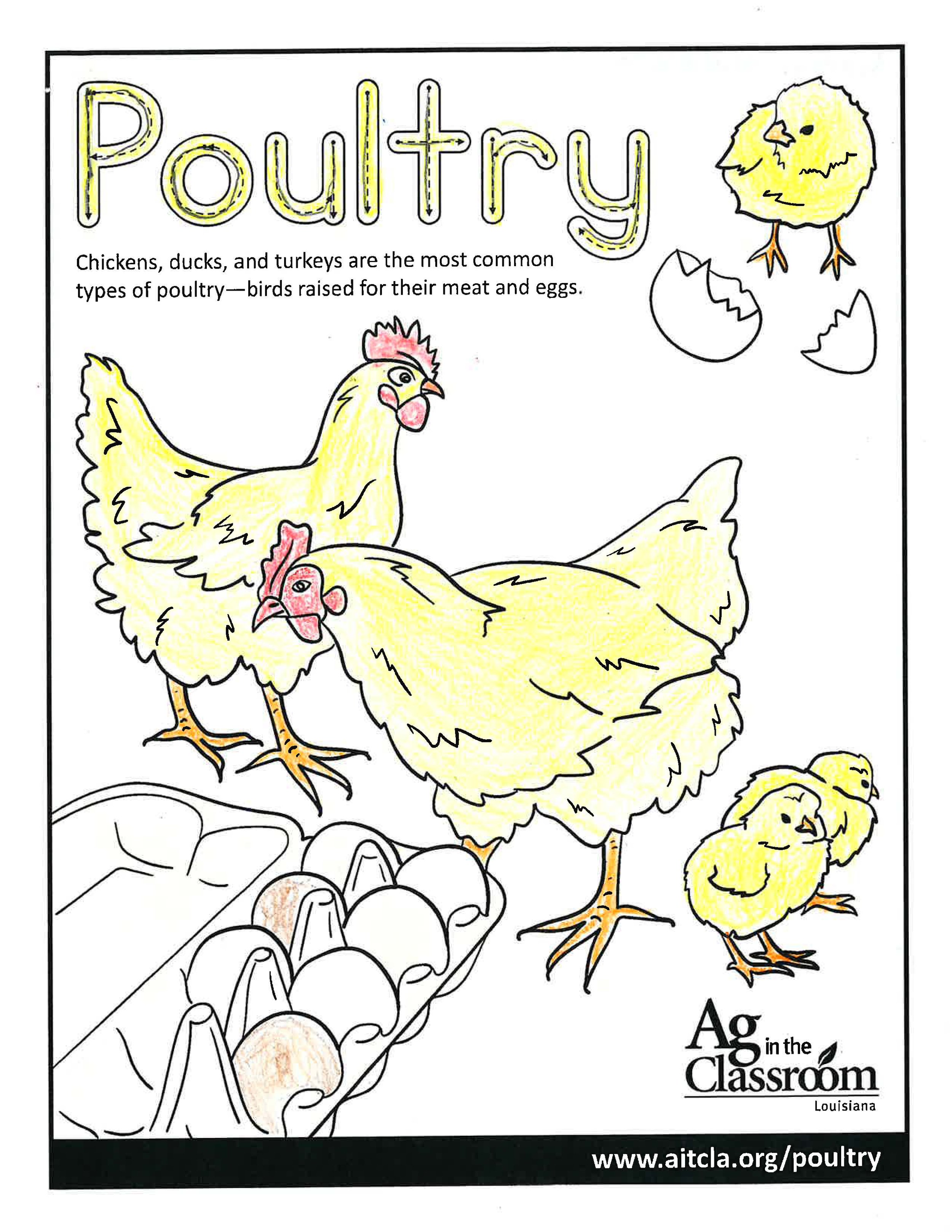 Poultry_LouisianaAgWeek2024_Page_04.jpg