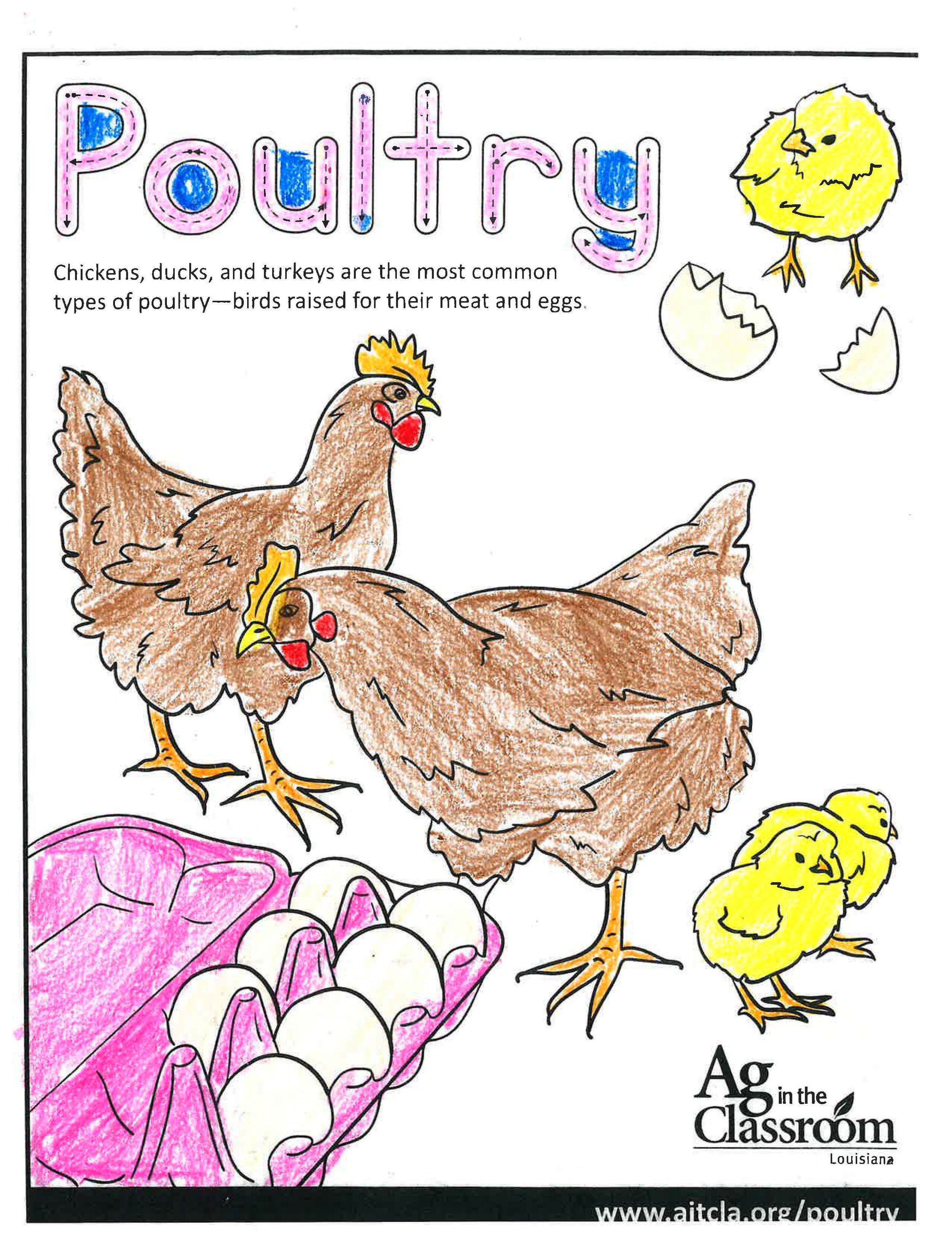 Poultry_LouisianaAgWeek2024_Page_06.jpg