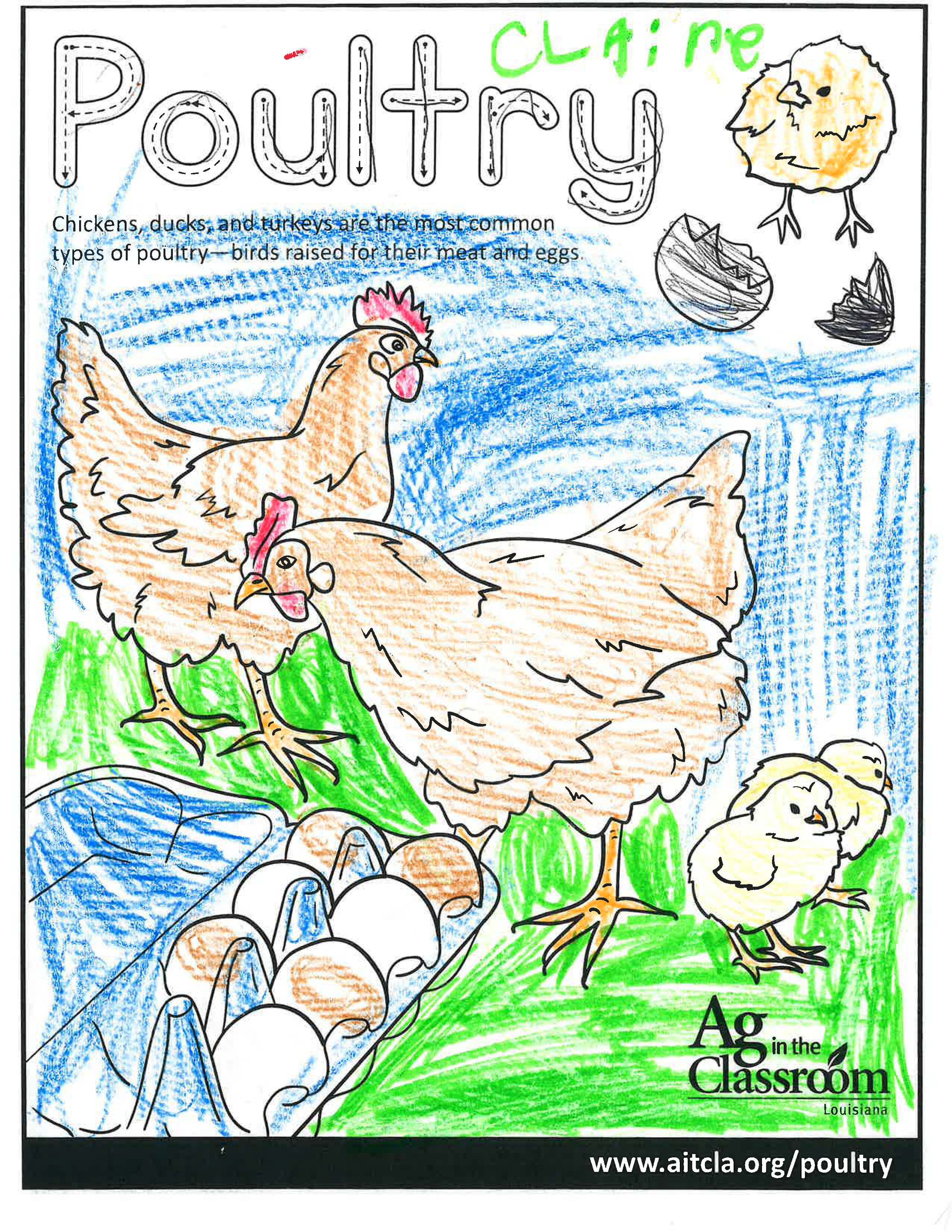Poultry_LouisianaAgWeek2024_Page_05.jpg