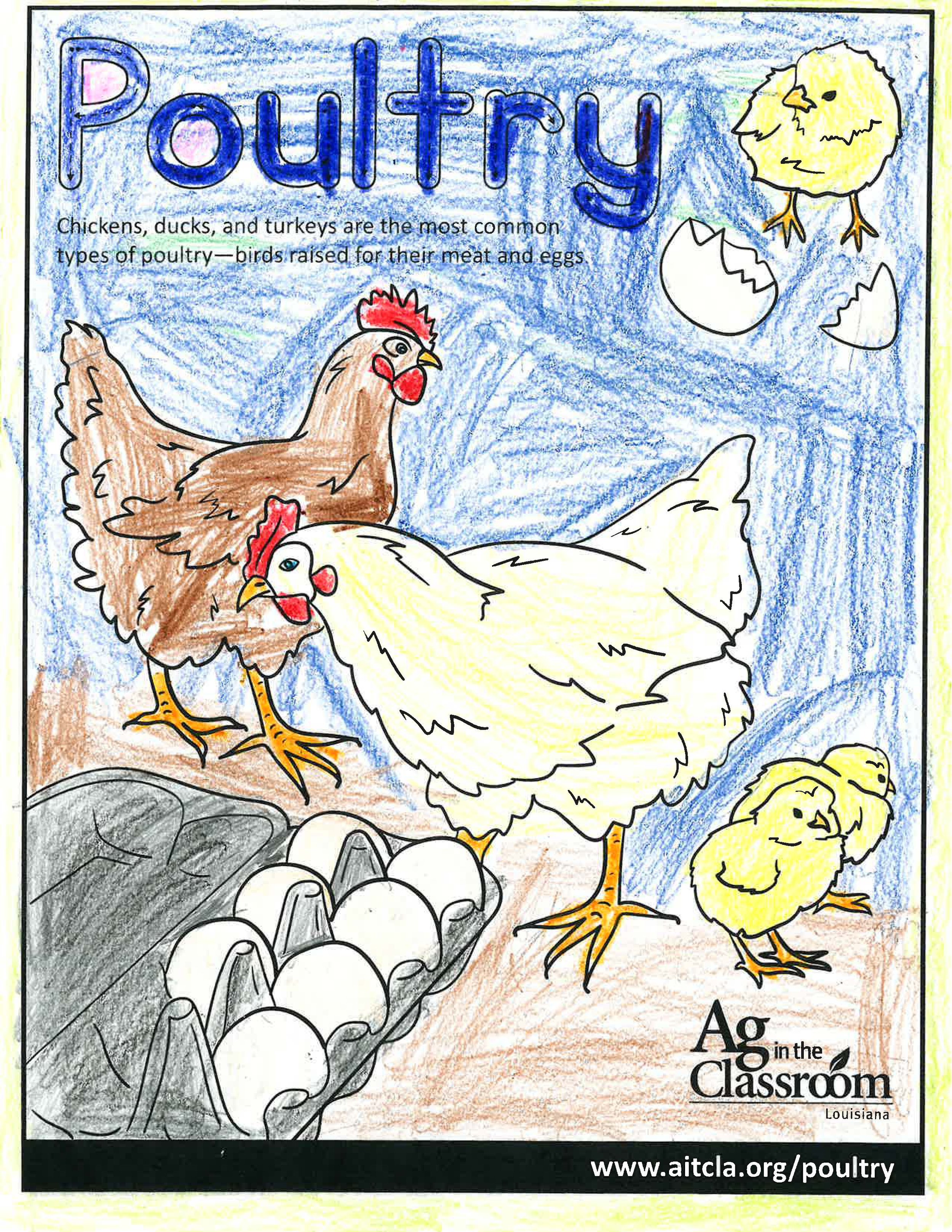 Poultry_LouisianaAgWeek2024_Page_07.jpg