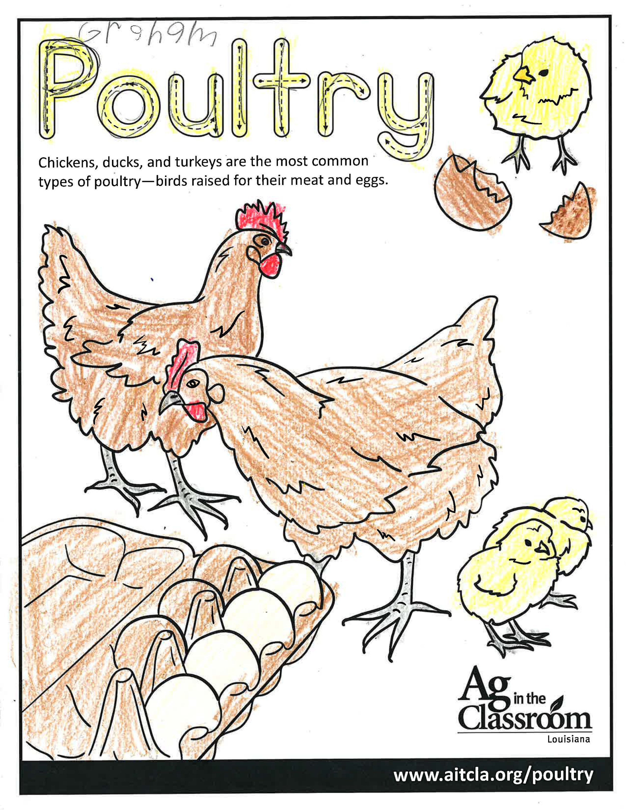 Poultry_LouisianaAgWeek2024_Page_08.jpg