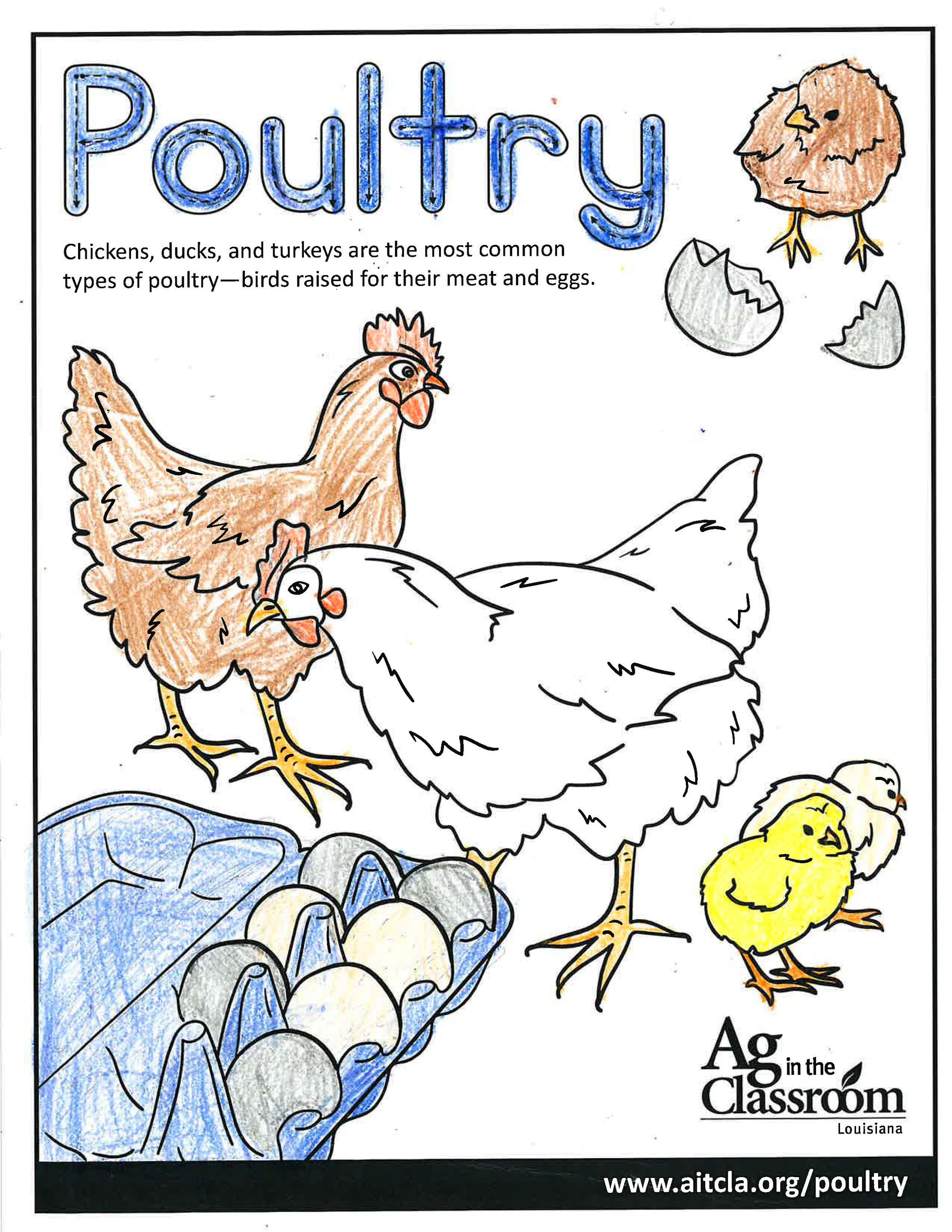 Poultry_LouisianaAgWeek2024_Page_09.jpg