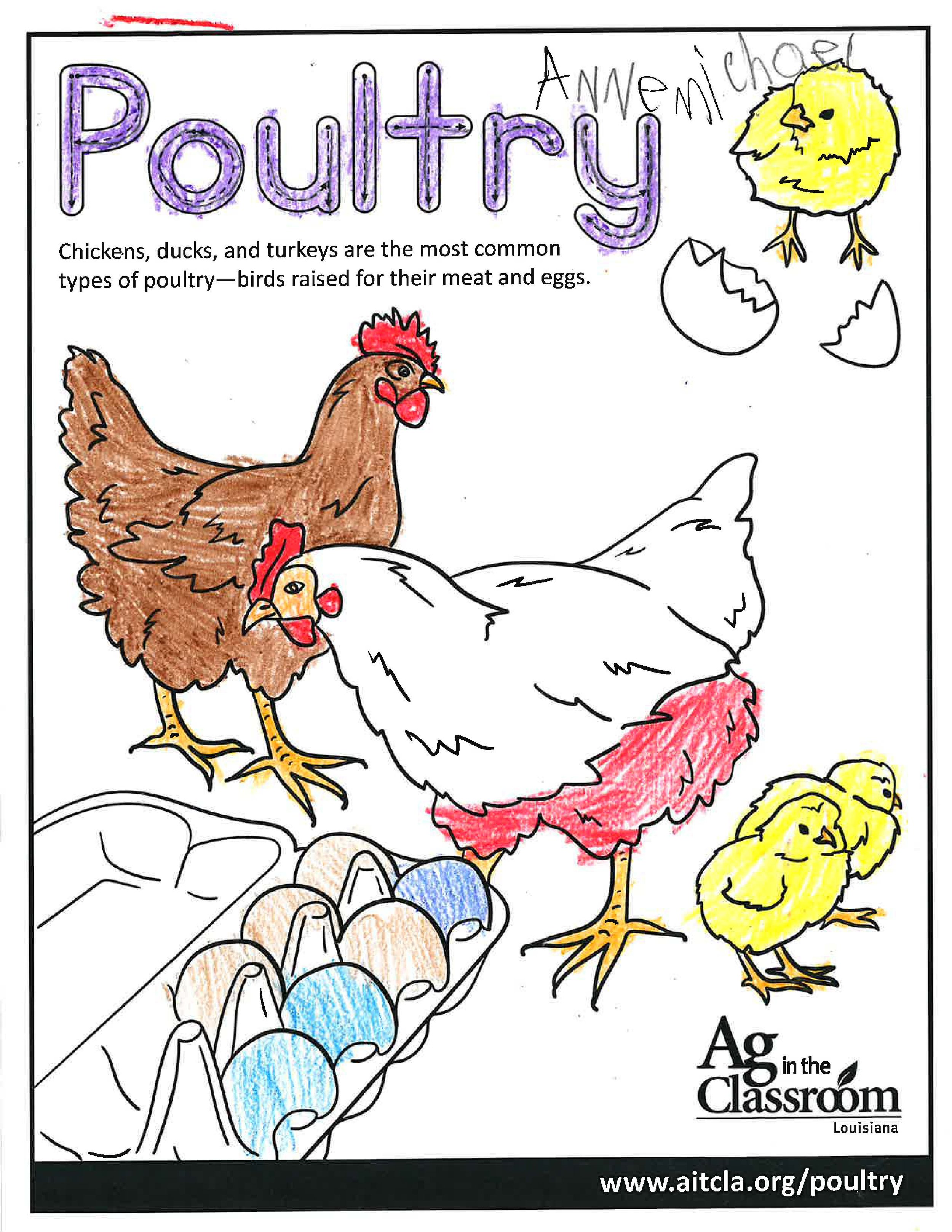 Poultry_LouisianaAgWeek2024_Page_10.jpg