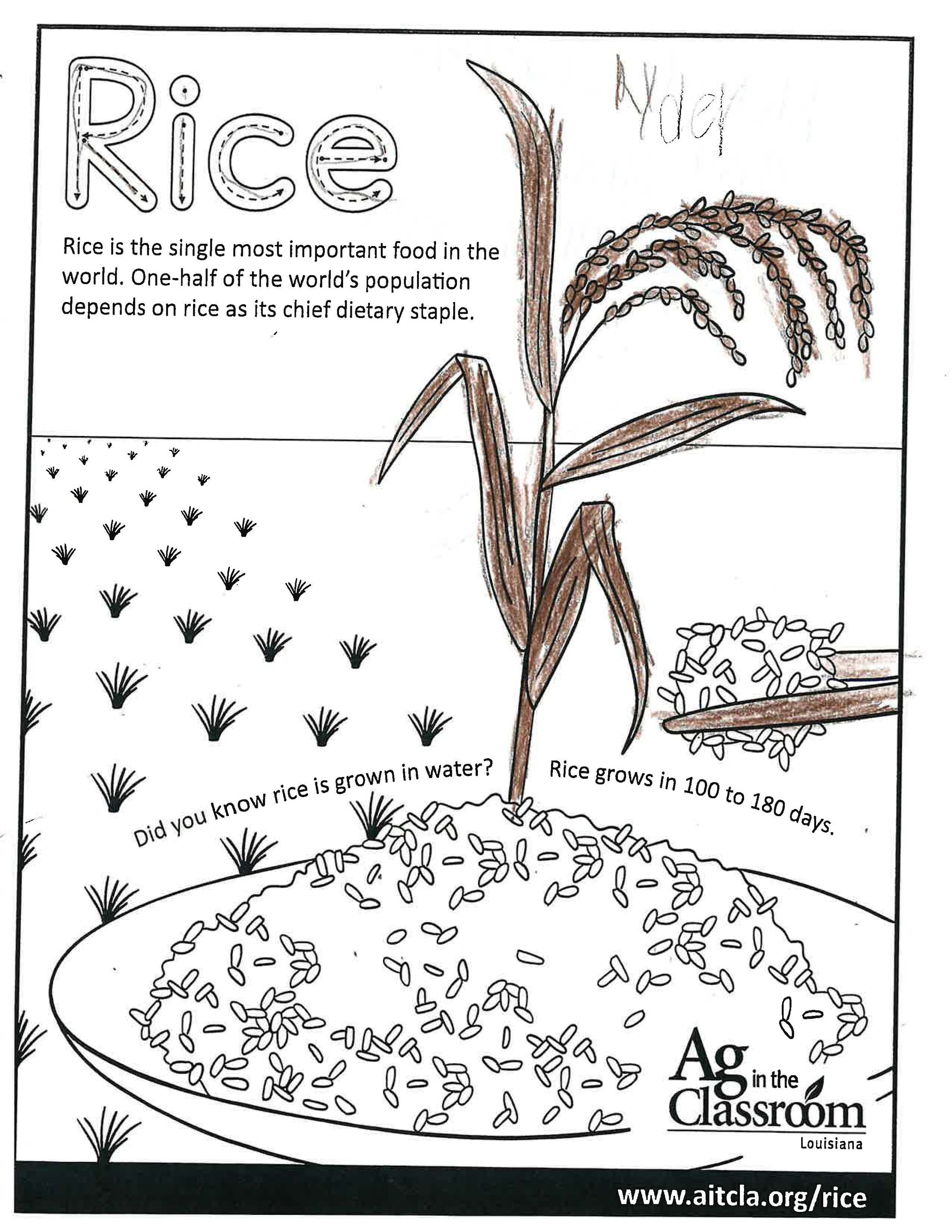 Rice_LouisianaAgWeek2024_Page_2.jpg