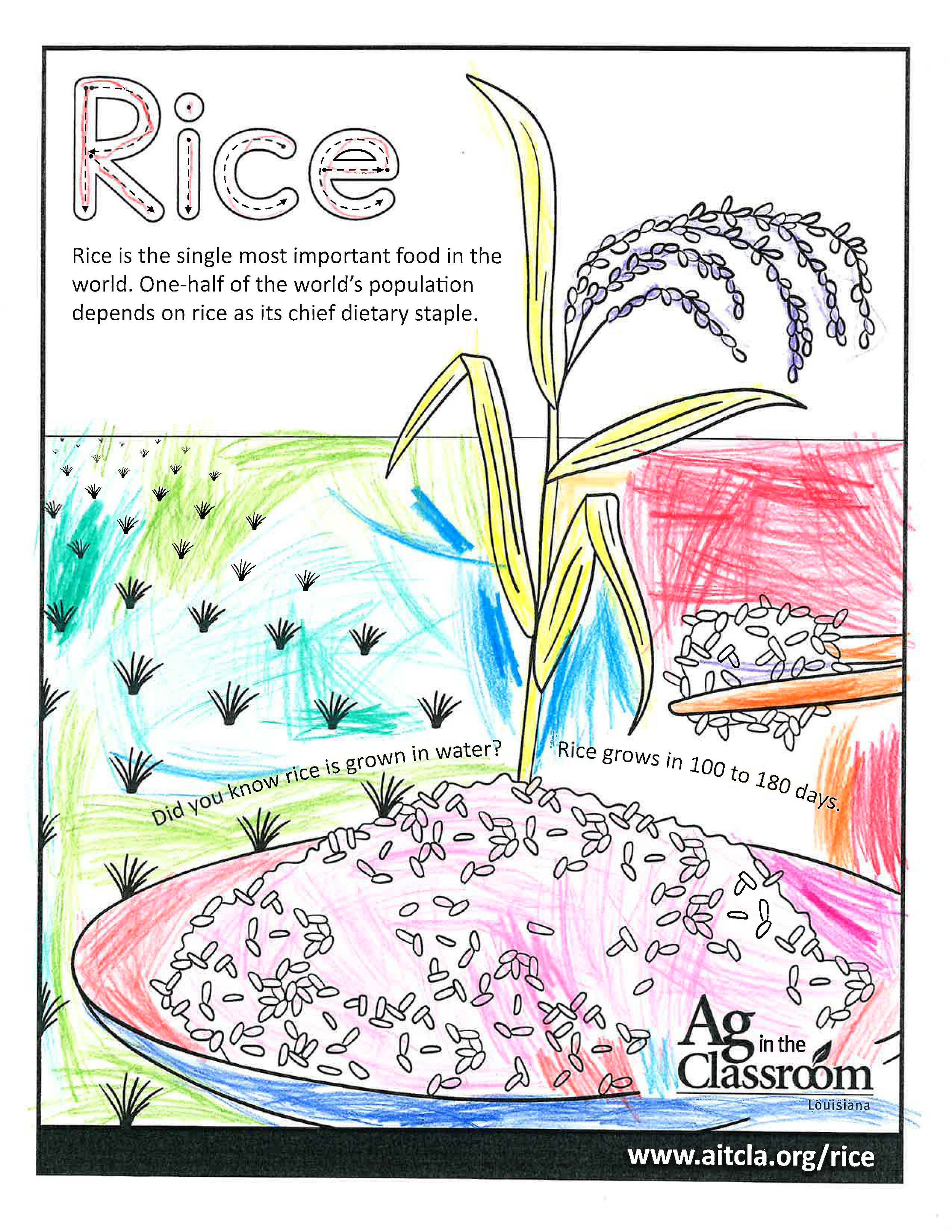 Rice_LouisianaAgWeek2024_Page_1.jpg