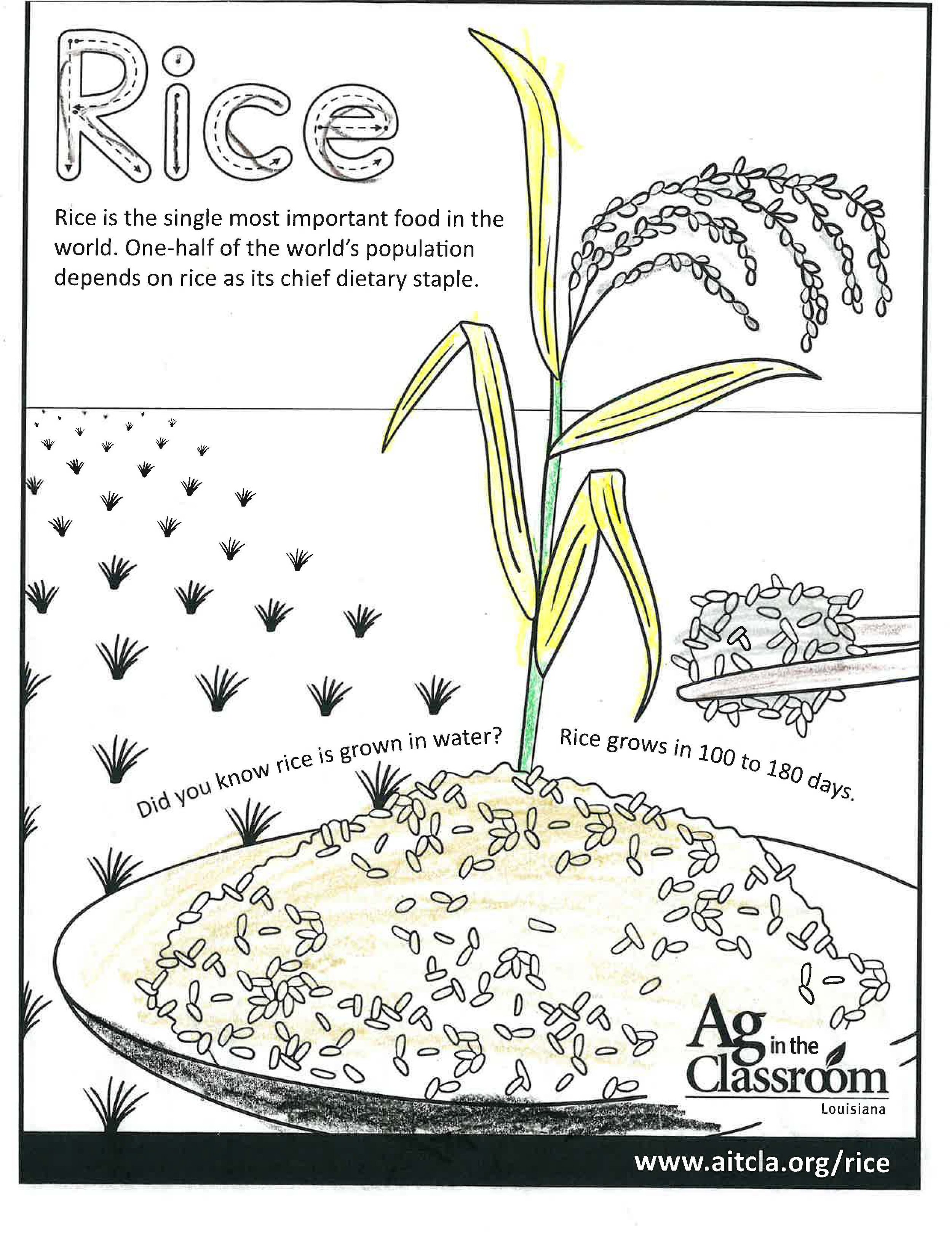 Rice_LouisianaAgWeek2024_Page_3.jpg