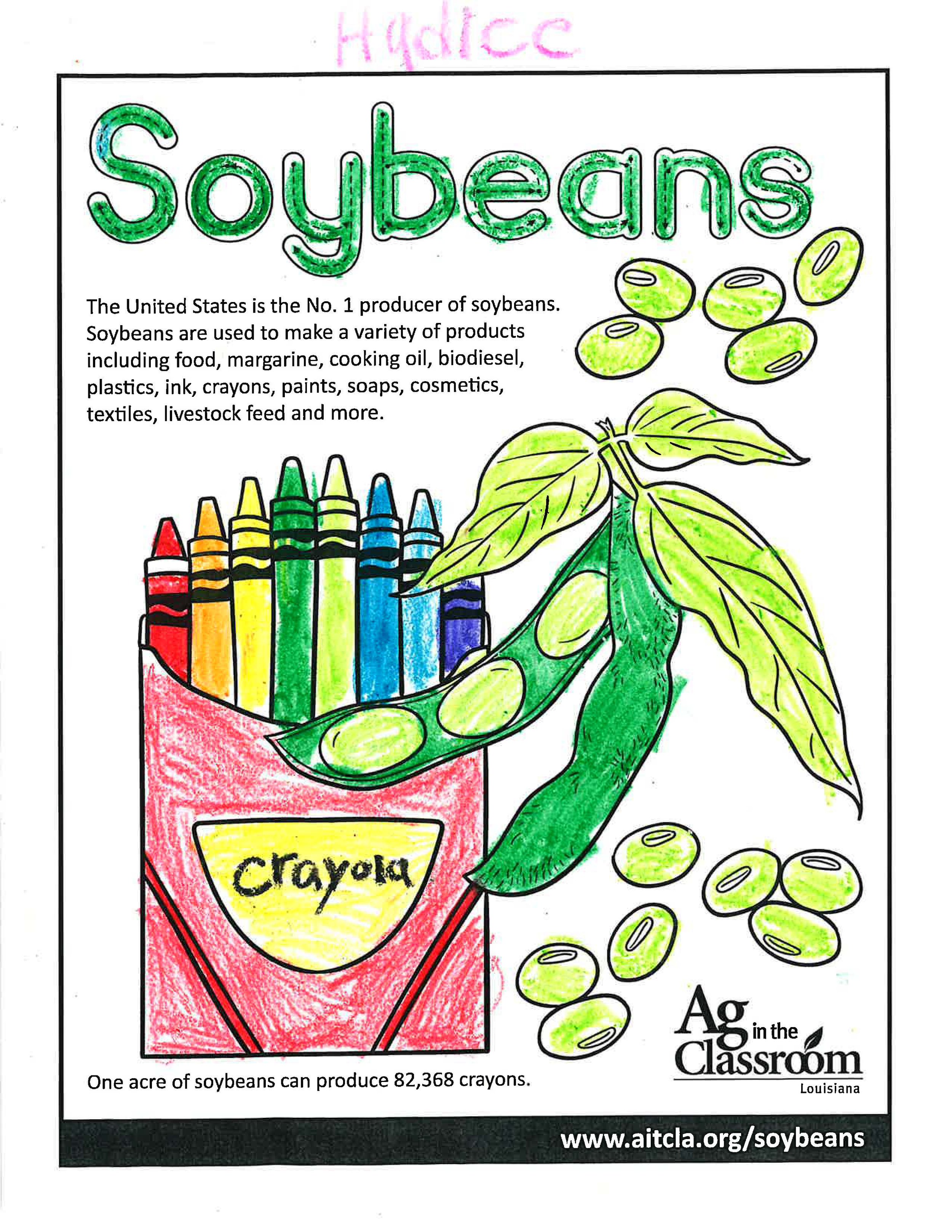 Soybeans_LouisianaAgWeek 2024_Page_10.jpg