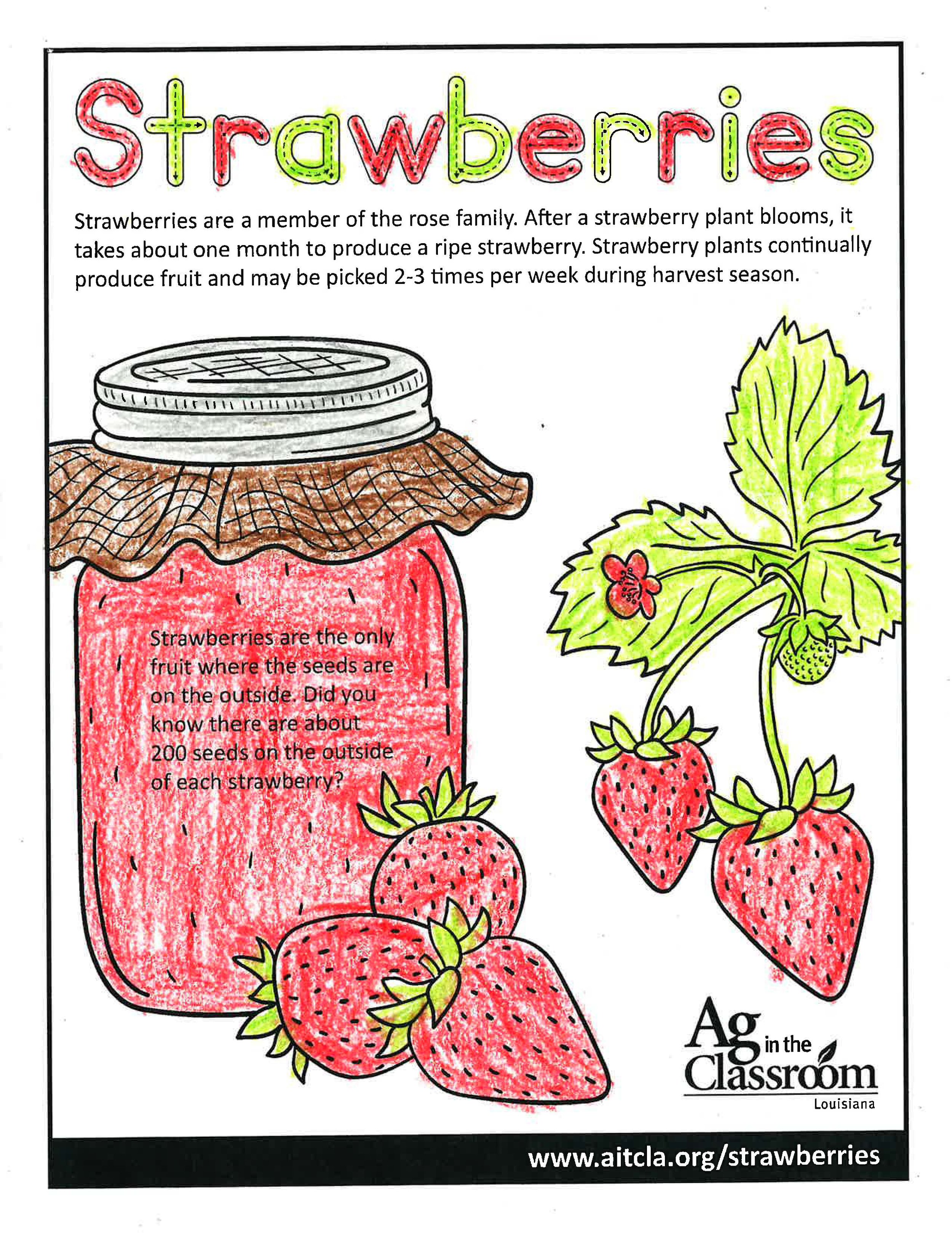 Strawberries_LouisianaAgWeek2024_Page_2.jpg