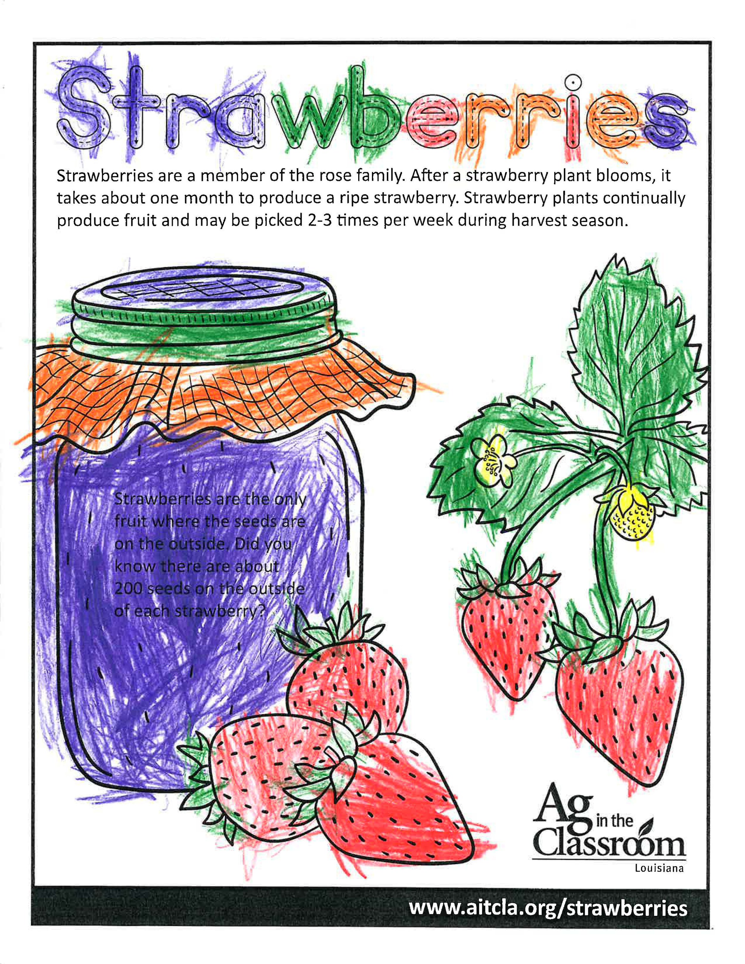 Strawberries_LouisianaAgWeek2024_Page_3.jpg