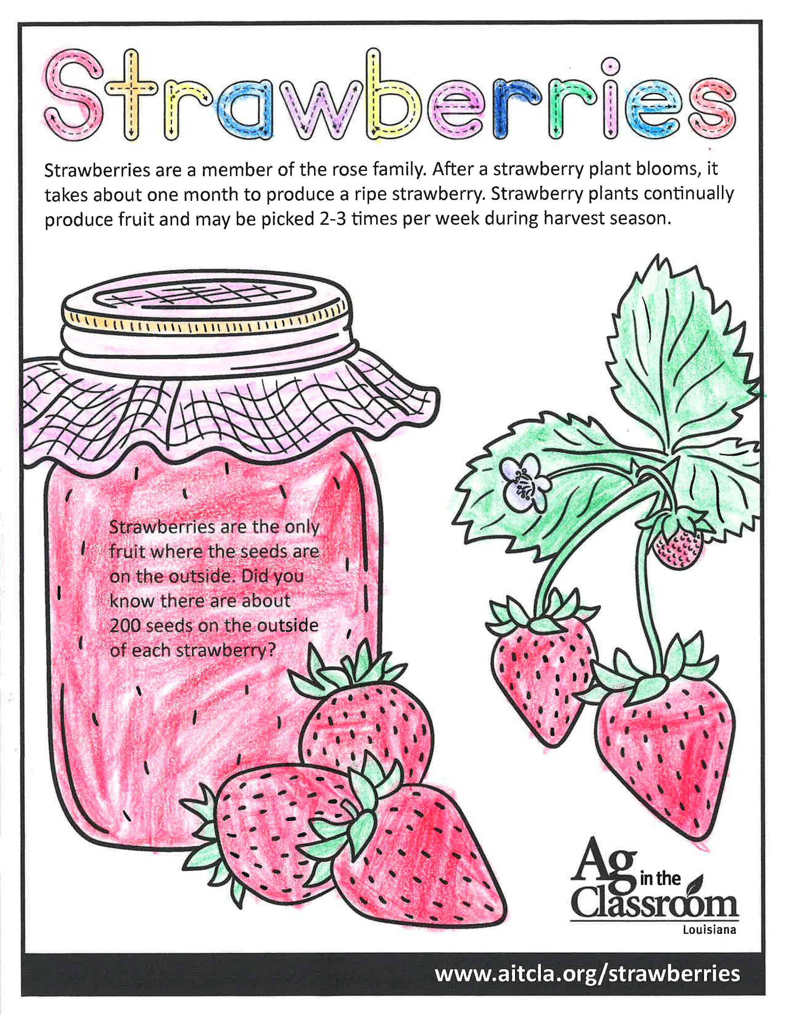 Strawberries_LouisianaAgWeek2024_Page_5.jpg