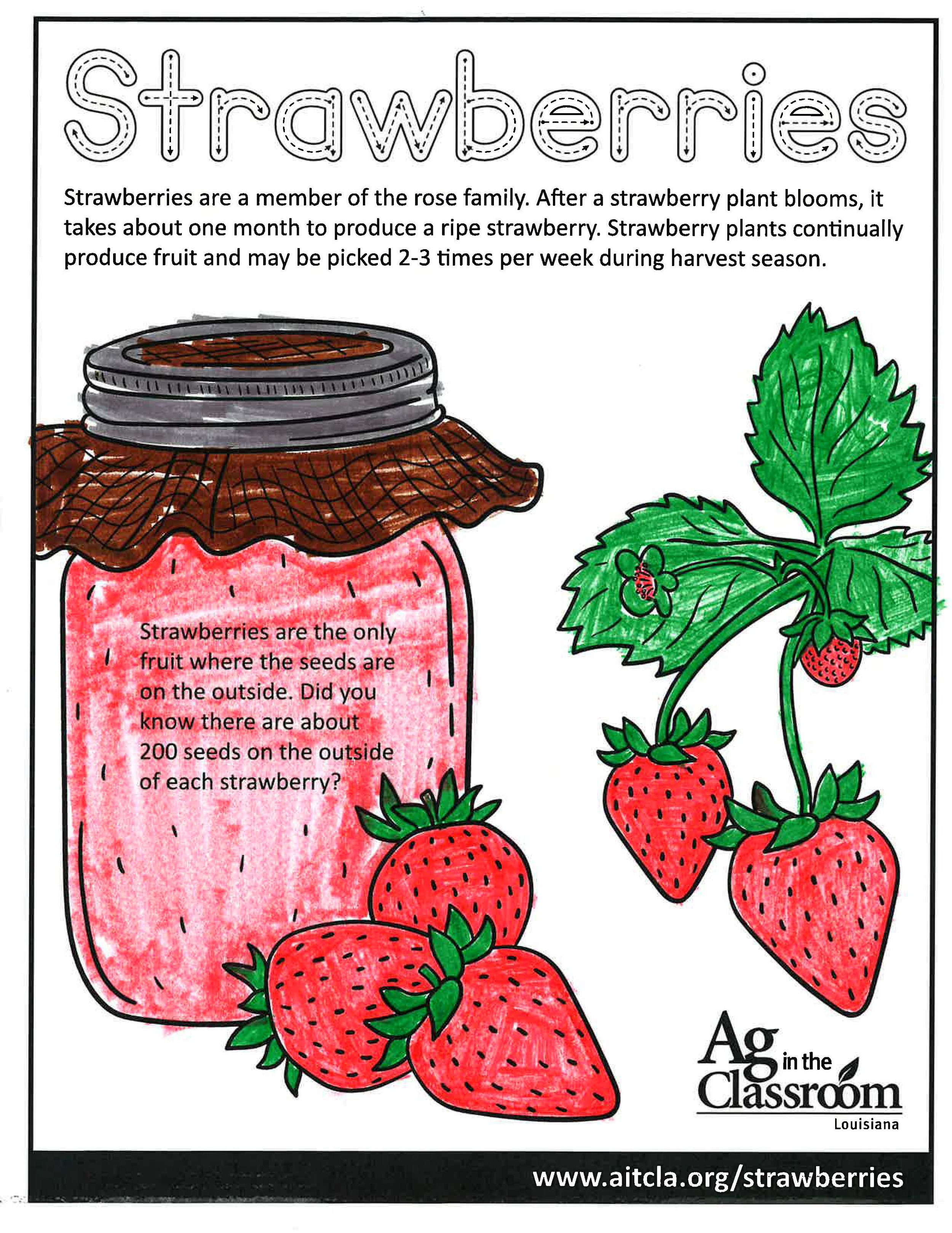 Strawberries_LouisianaAgWeek2024_Page_6.jpg