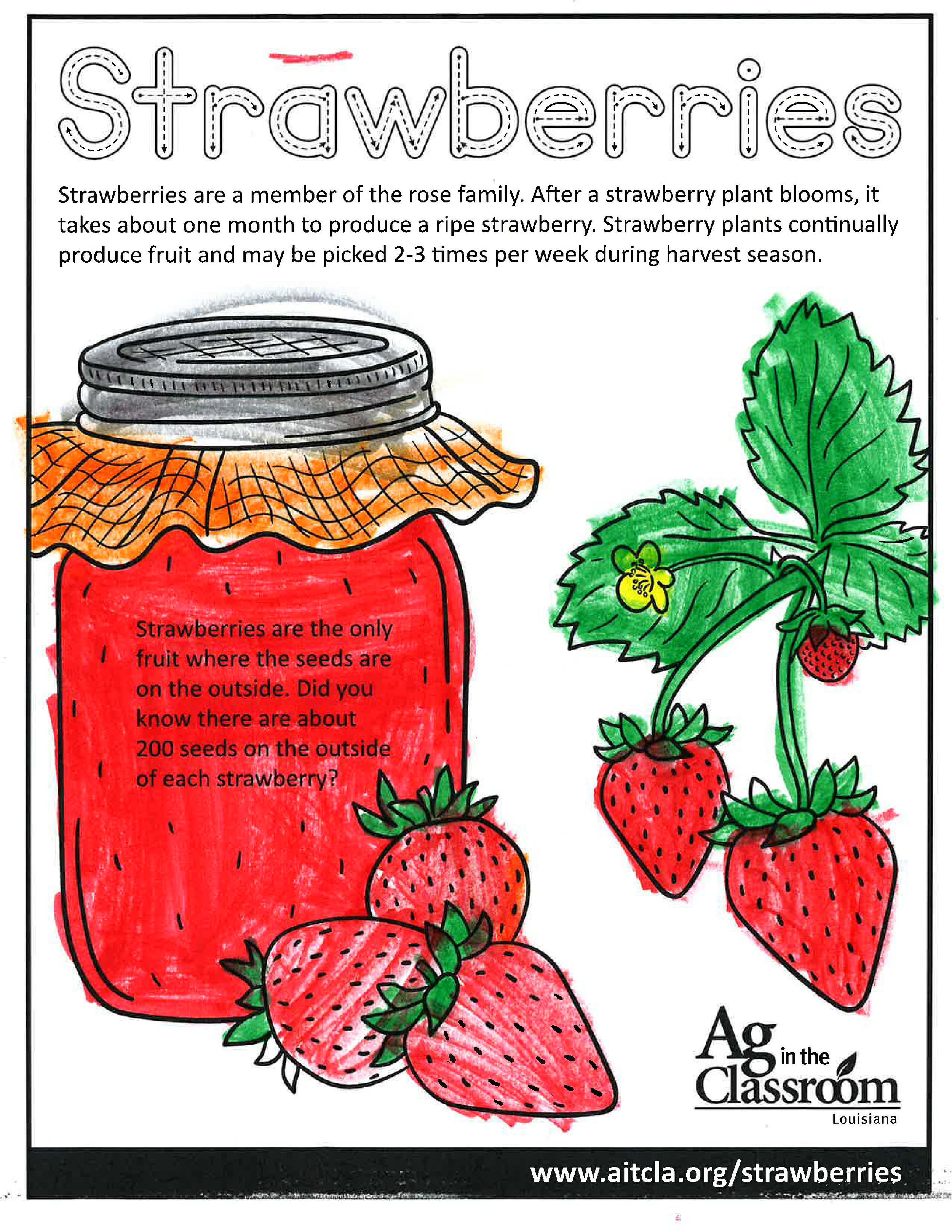 Strawberries_LouisianaAgWeek2024_Page_7.jpg