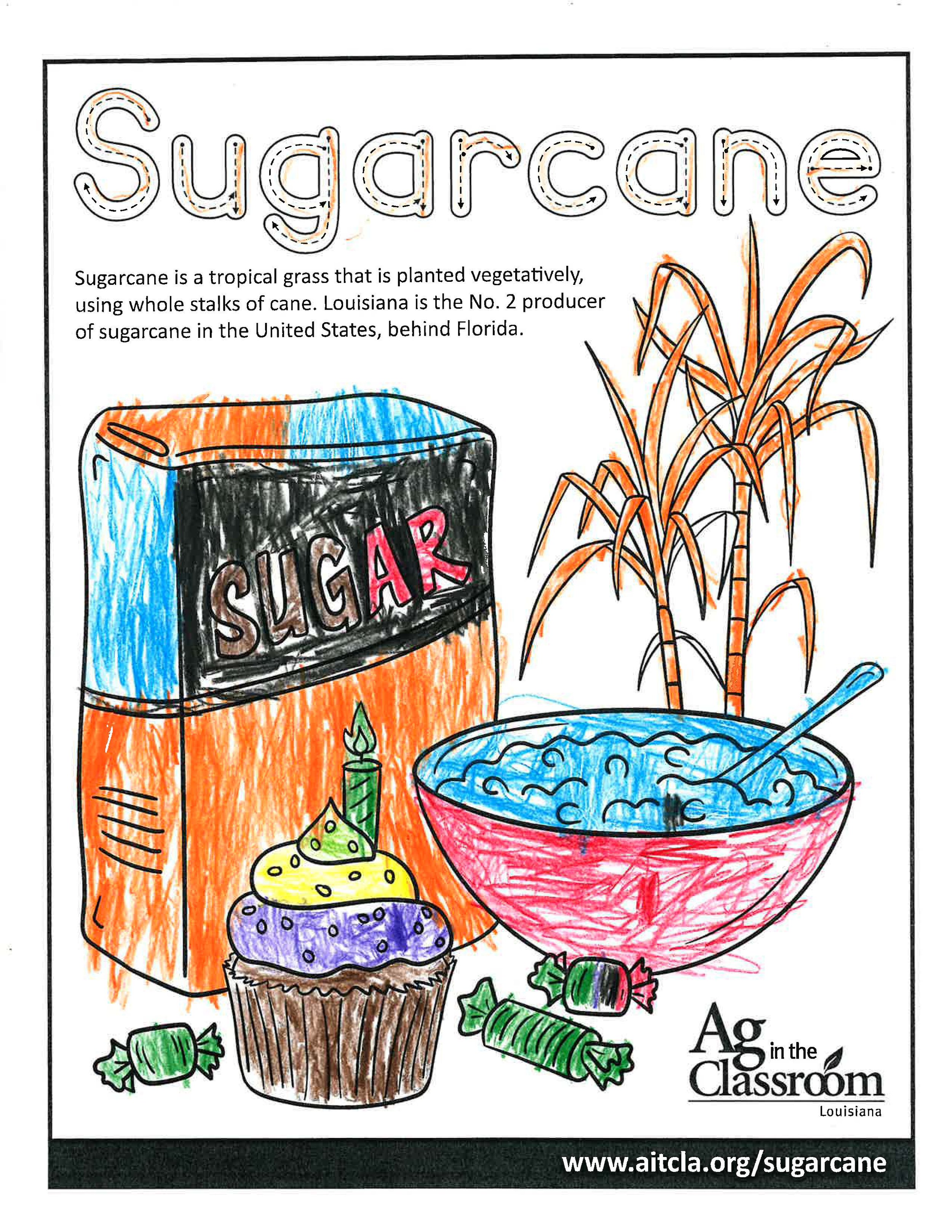 Sugarcane_LouisianaAgWeek2024_Page_01.jpg