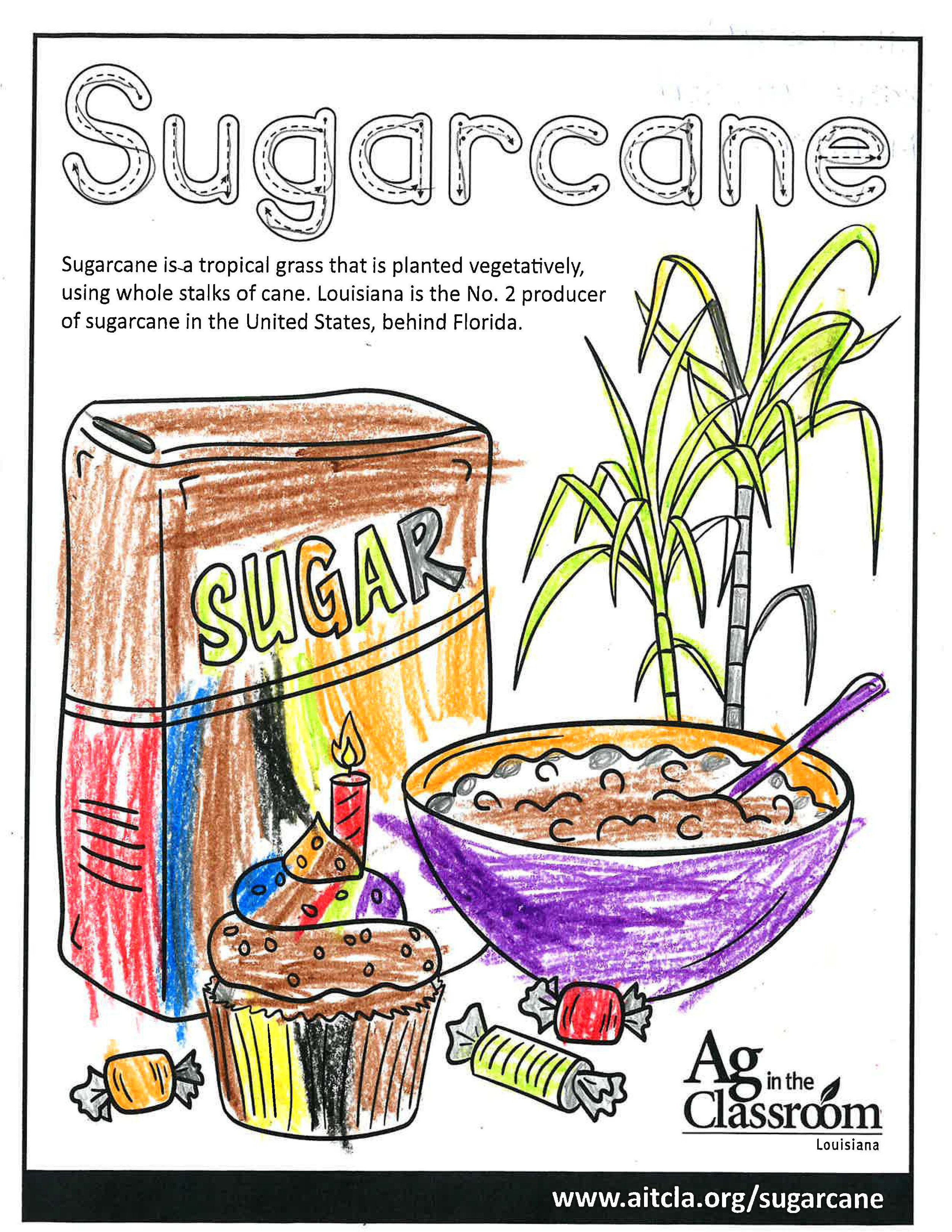Sugarcane_LouisianaAgWeek2024_Page_02.jpg