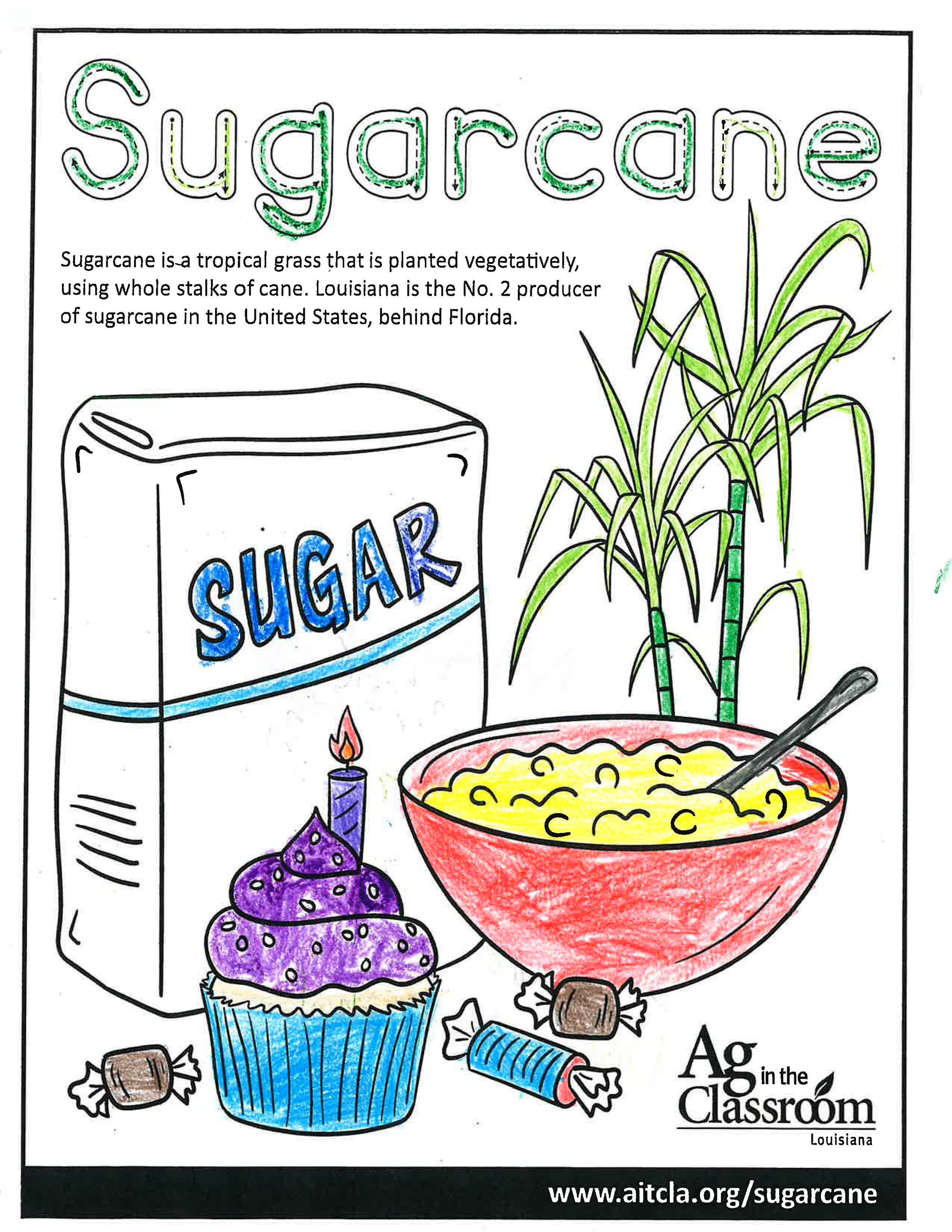 Sugarcane_LouisianaAgWeek2024_Page_03.jpg