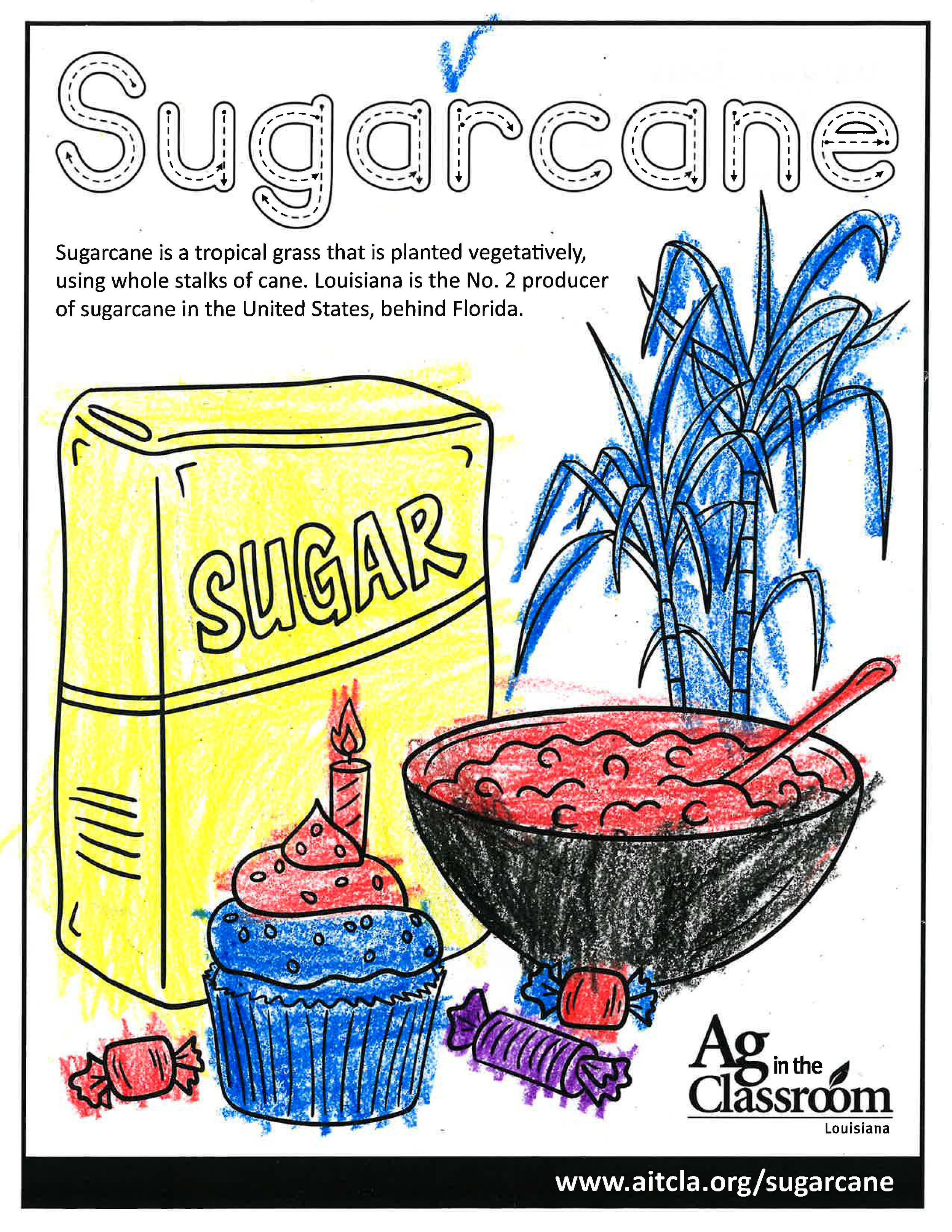 Sugarcane_LouisianaAgWeek2024_Page_04.jpg