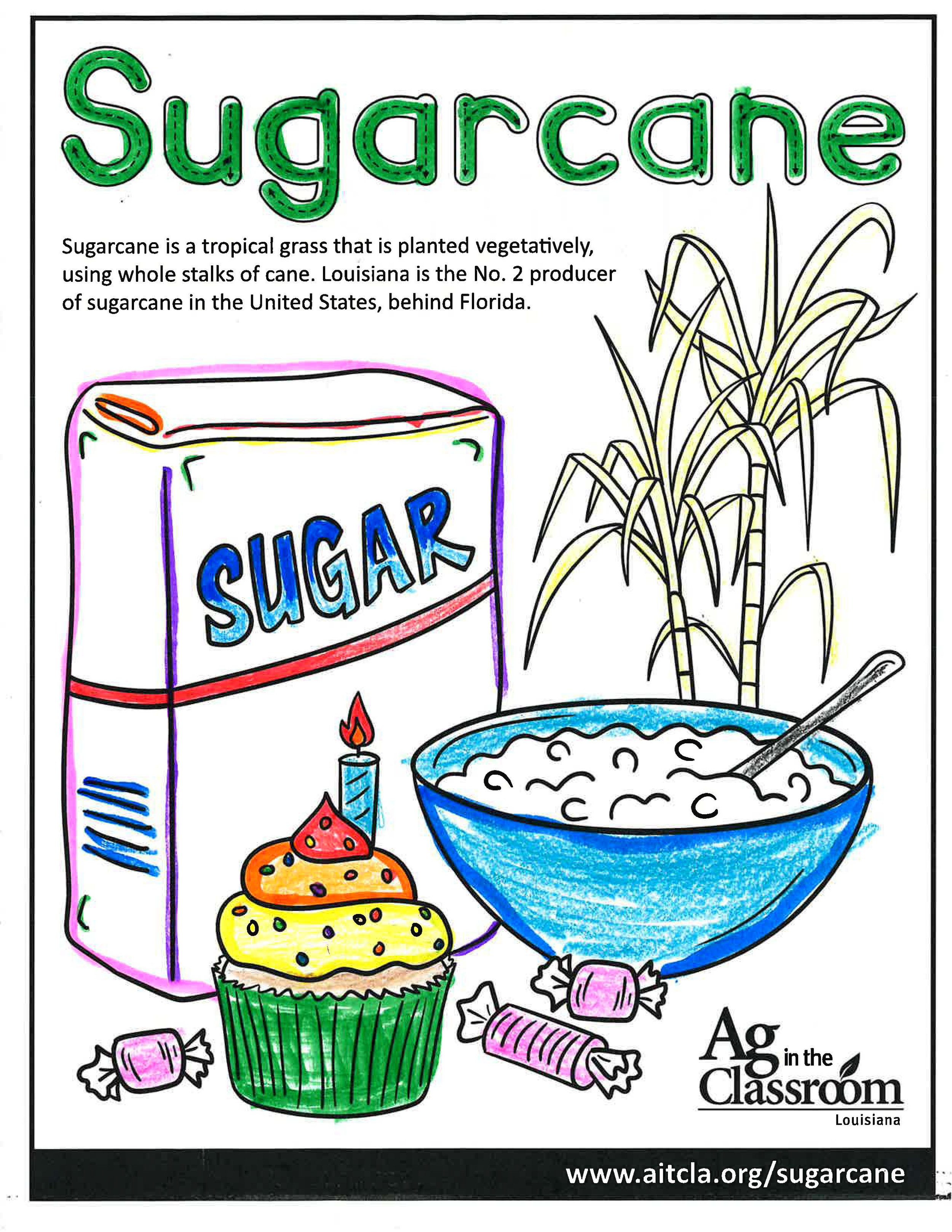 Sugarcane_LouisianaAgWeek2024_Page_05.jpg