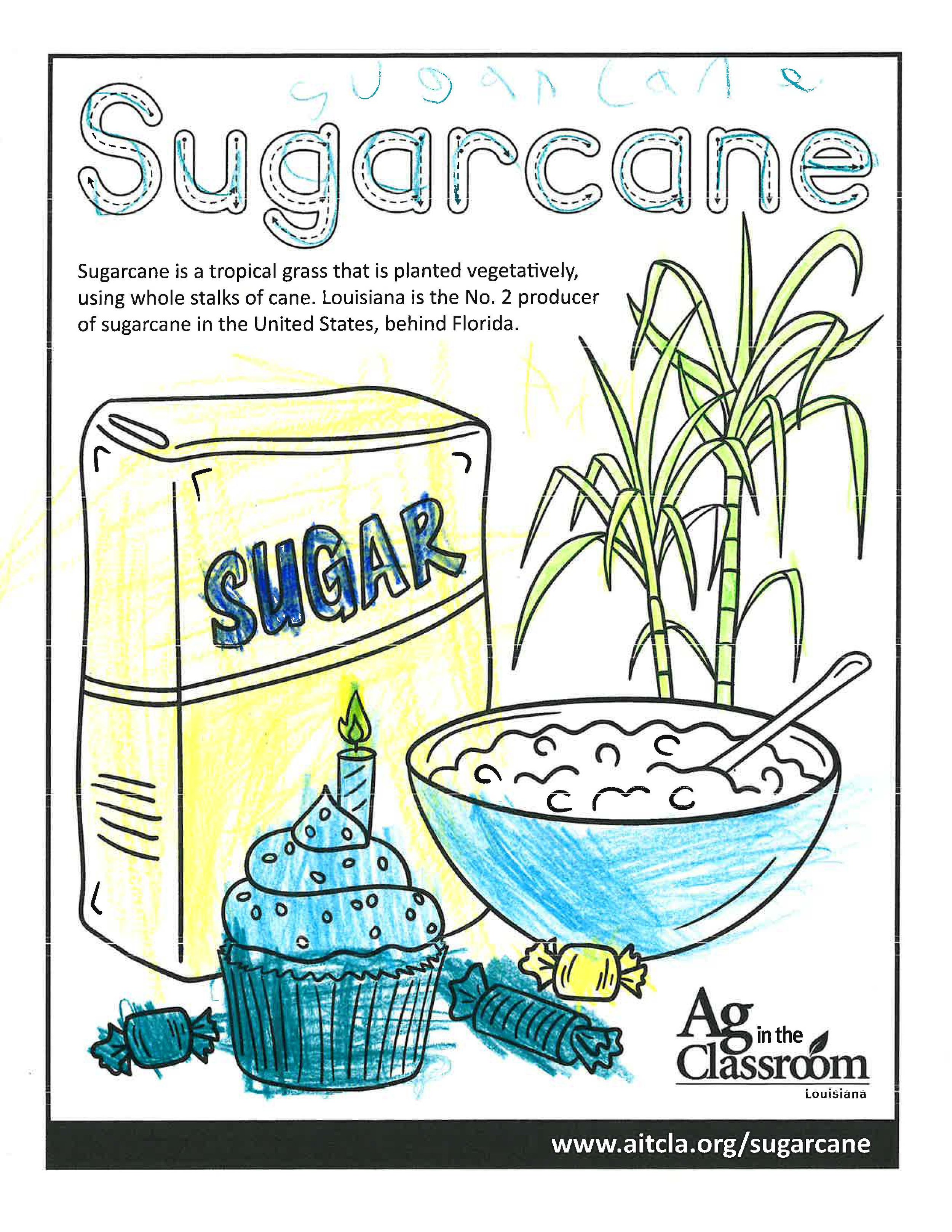 Sugarcane_LouisianaAgWeek2024_Page_06.jpg