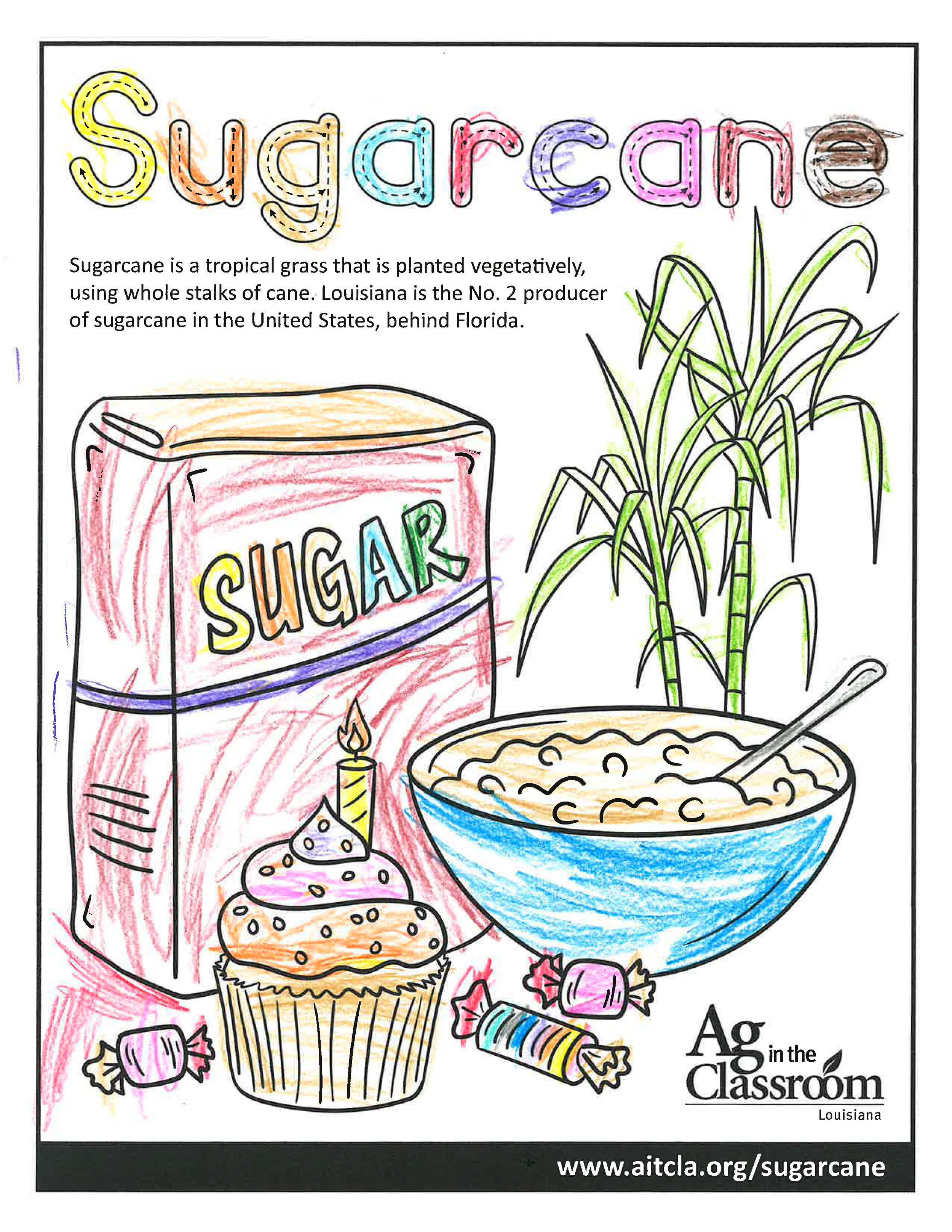 Sugarcane_LouisianaAgWeek2024_Page_07.jpg