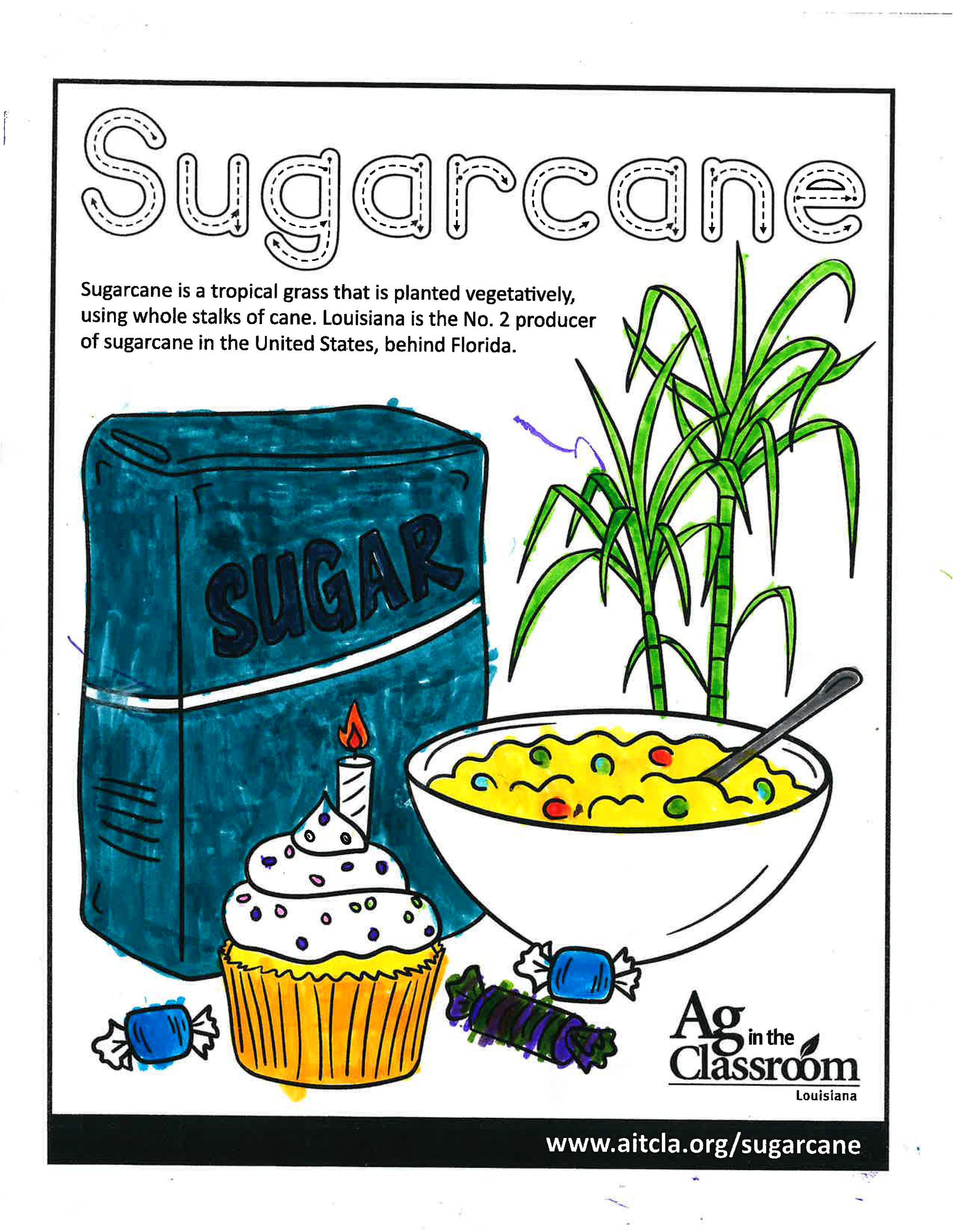 Sugarcane_LouisianaAgWeek2024_Page_08.jpg