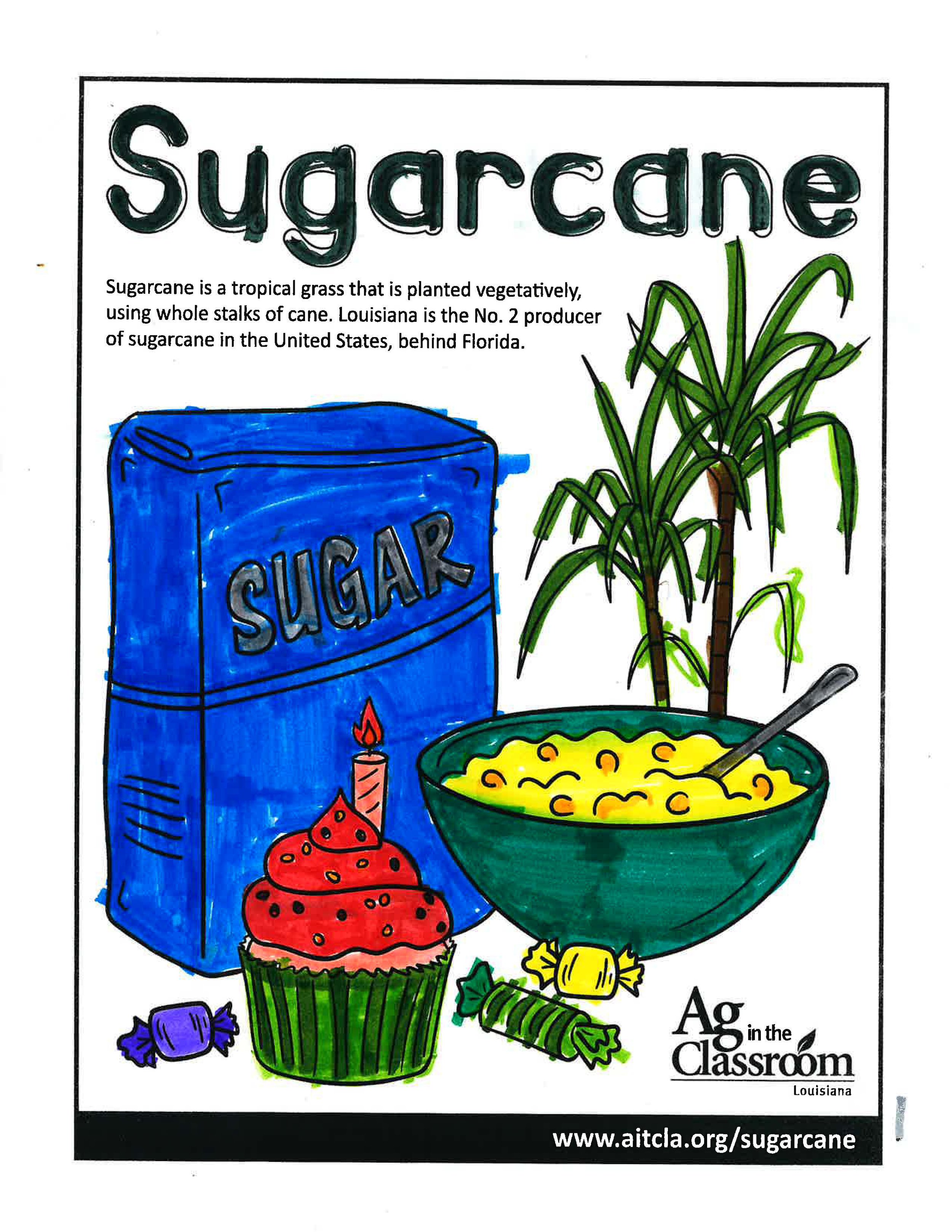 Sugarcane_LouisianaAgWeek2024_Page_09.jpg