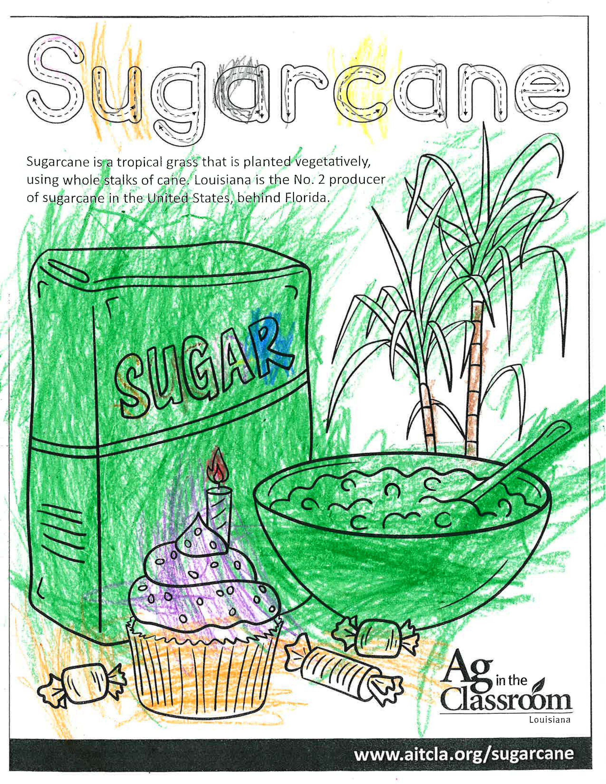 Sugarcane_LouisianaAgWeek2024_Page_10.jpg