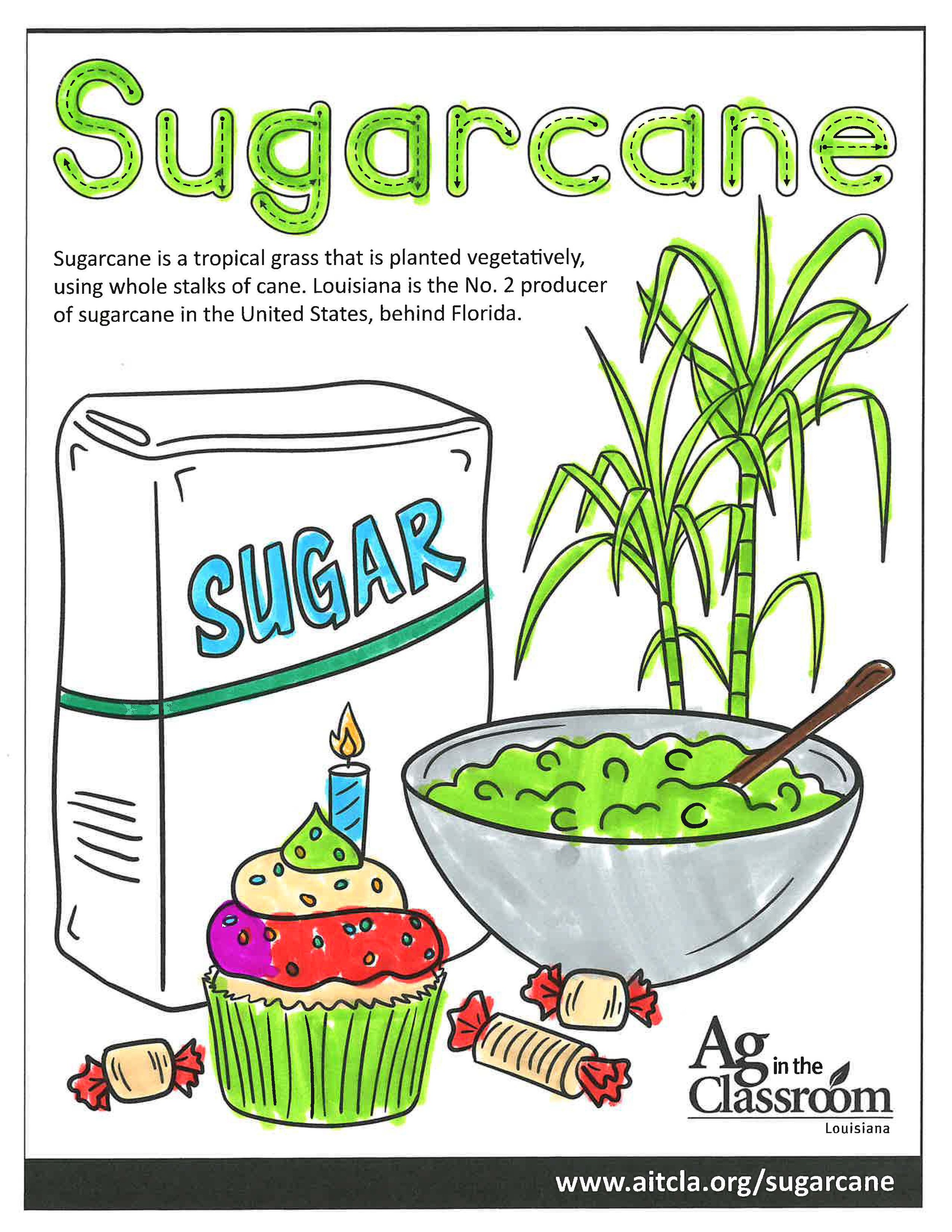Sugarcane_LouisianaAgWeek2024_Page_11.jpg