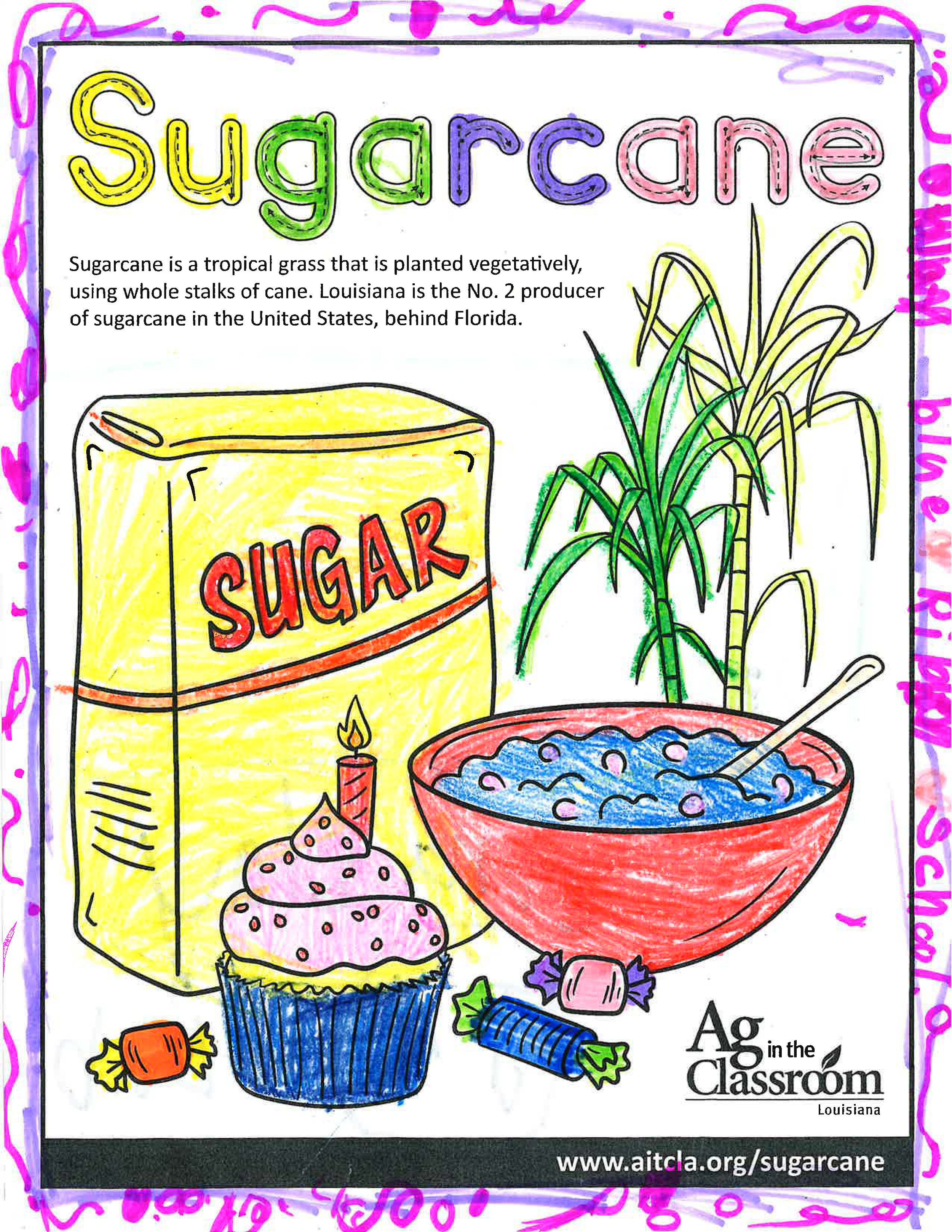 Sugarcane_LouisianaAgWeek2024_Page_12.jpg