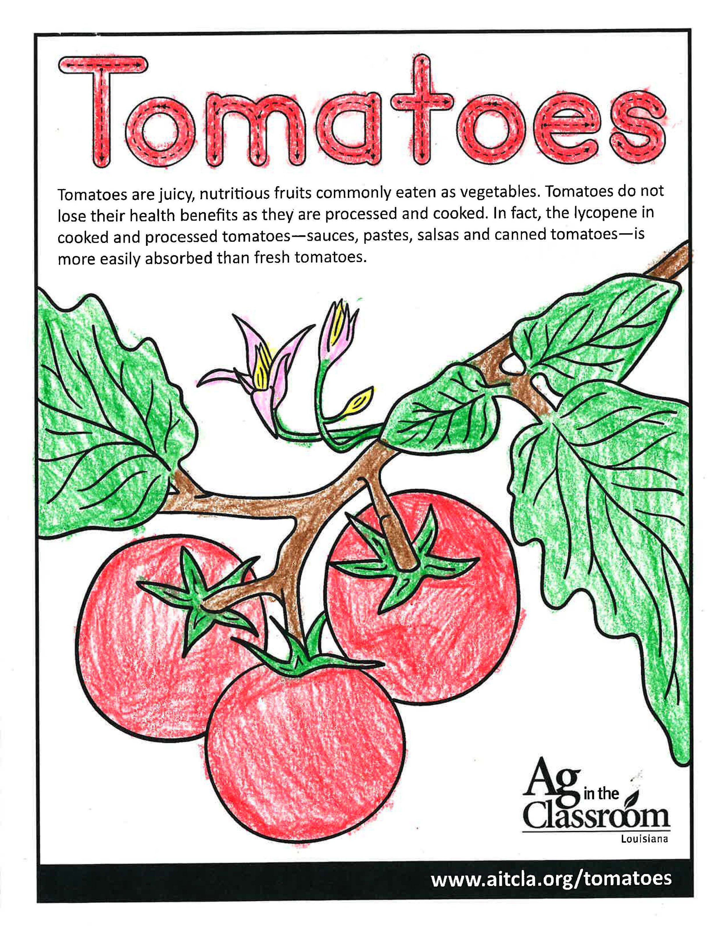 Tomato_LouisianaAgWeek2024_Page_05.jpg