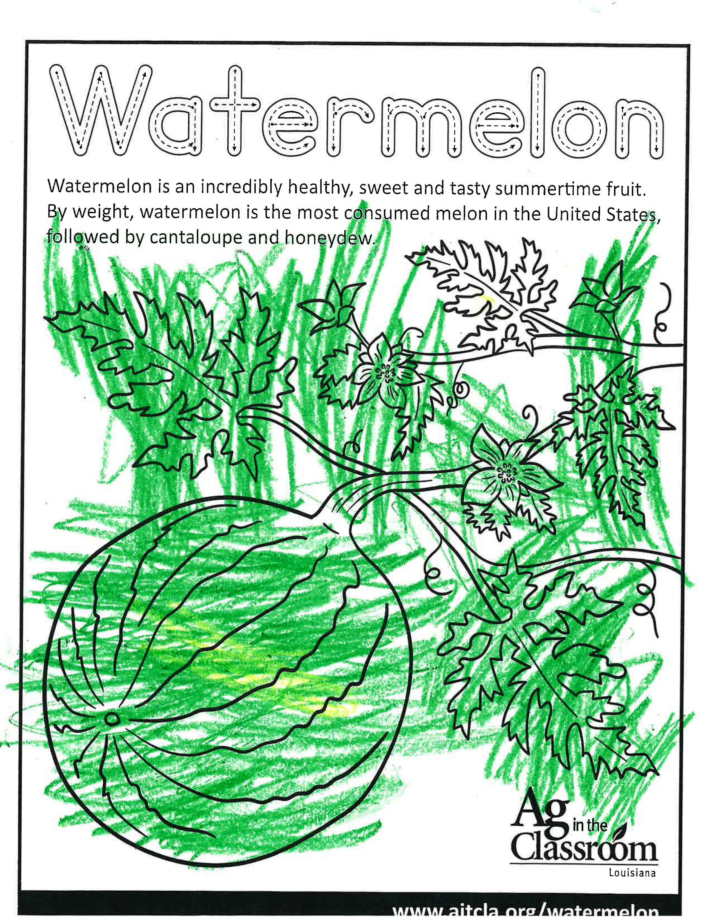 Watermelon_LouisianaAgWeek2024_Page_3.jpg
