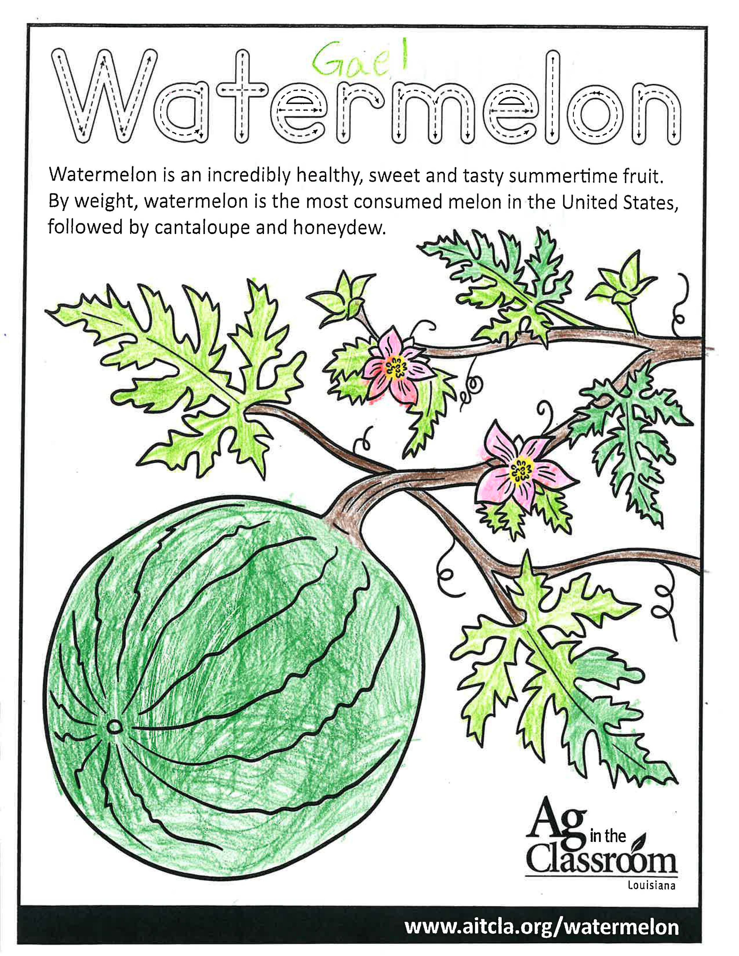 Watermelon_LouisianaAgWeek2024_Page_5.jpg