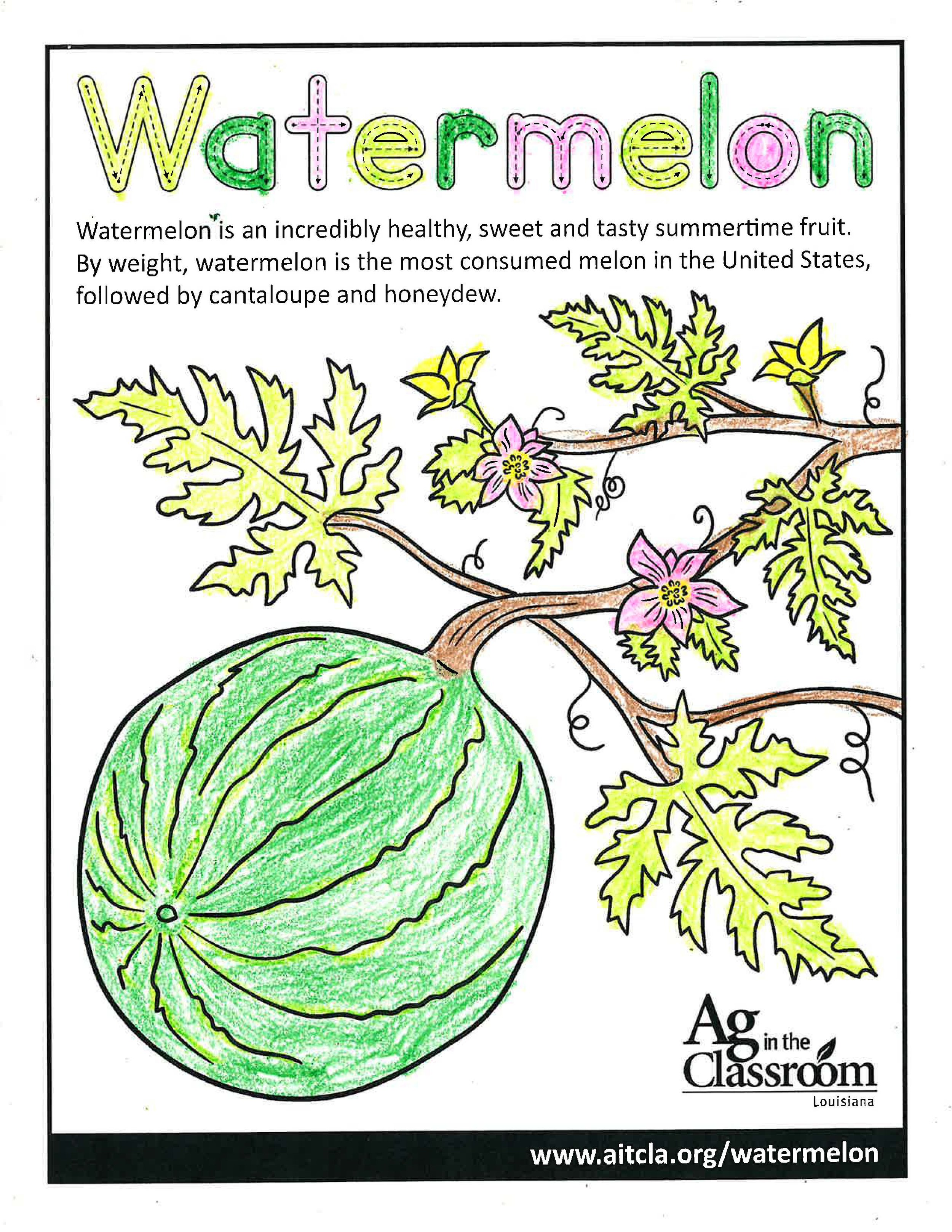 Watermelon_LouisianaAgWeek2024_Page_6.jpg