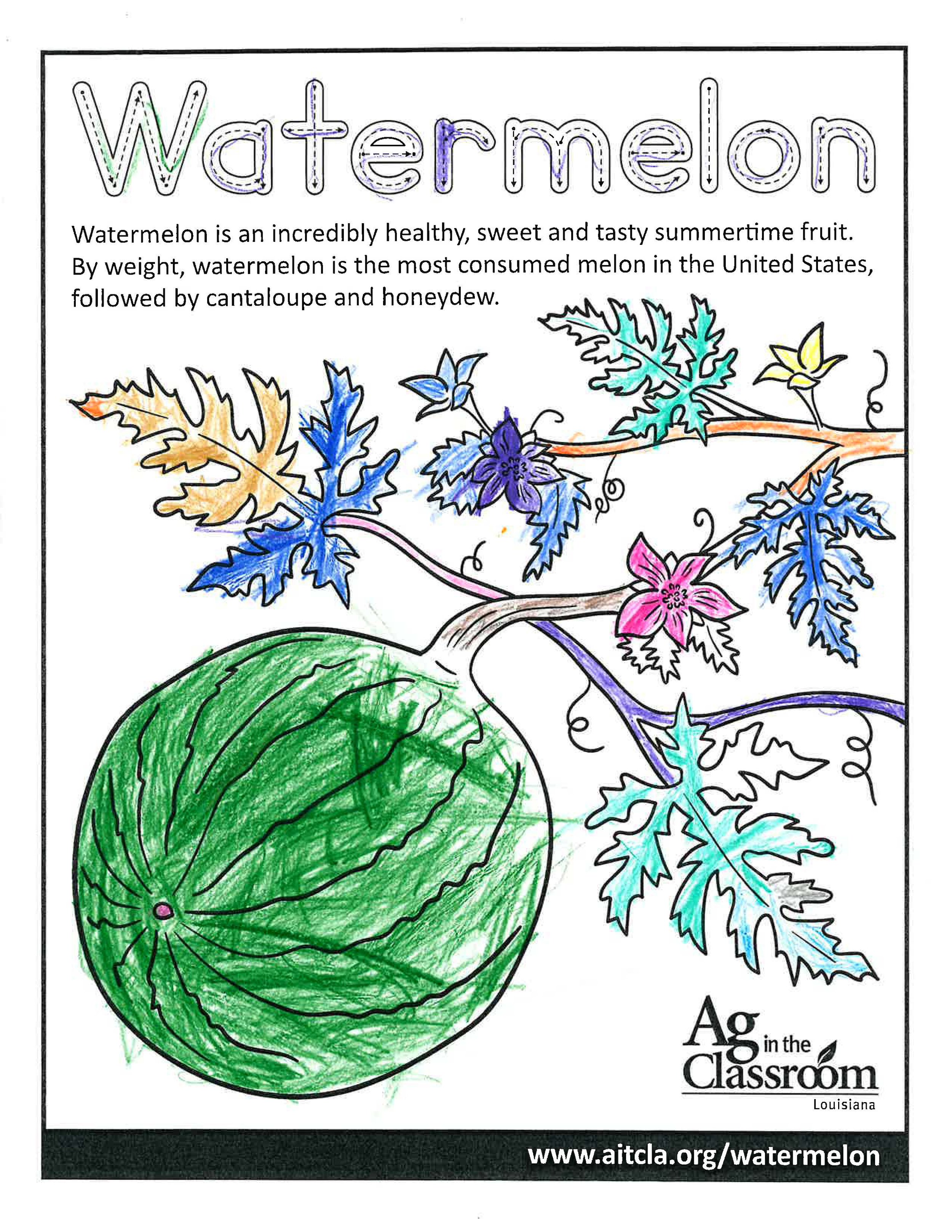 Watermelon_LouisianaAgWeek2024_Page_7.jpg
