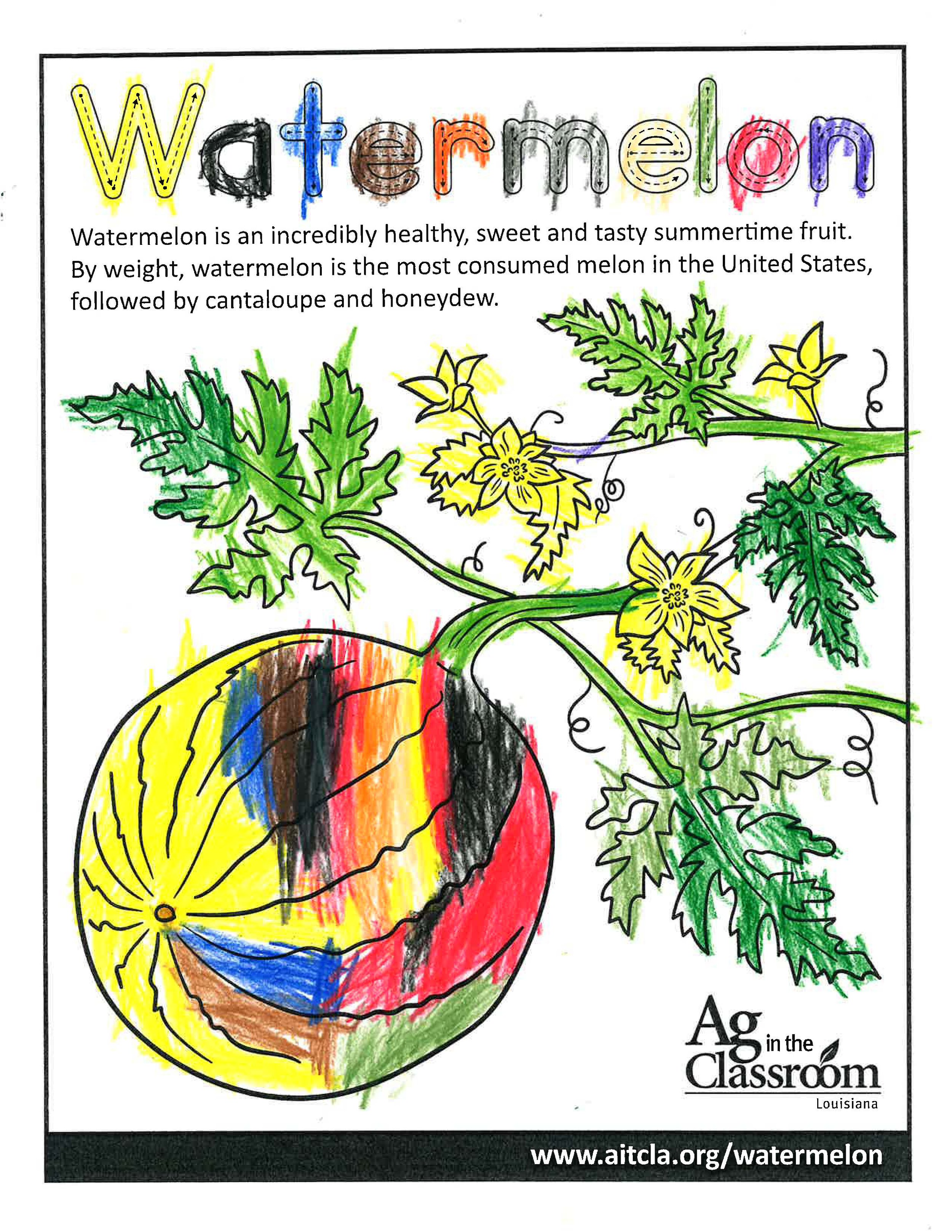 Watermelon_LouisianaAgWeek2024_Page_8.jpg