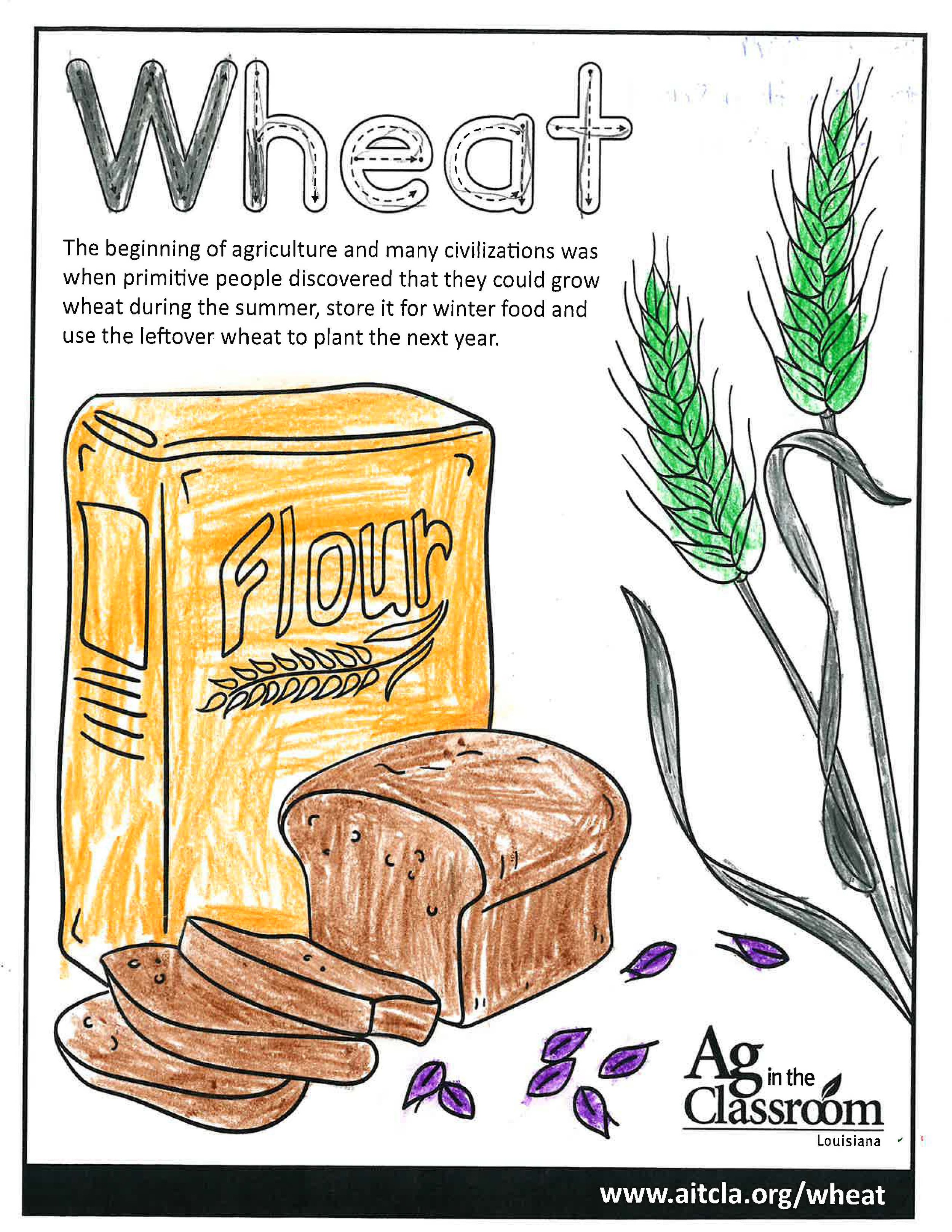 Wheat_LouisianaAgWeek2024_Page_1.jpg
