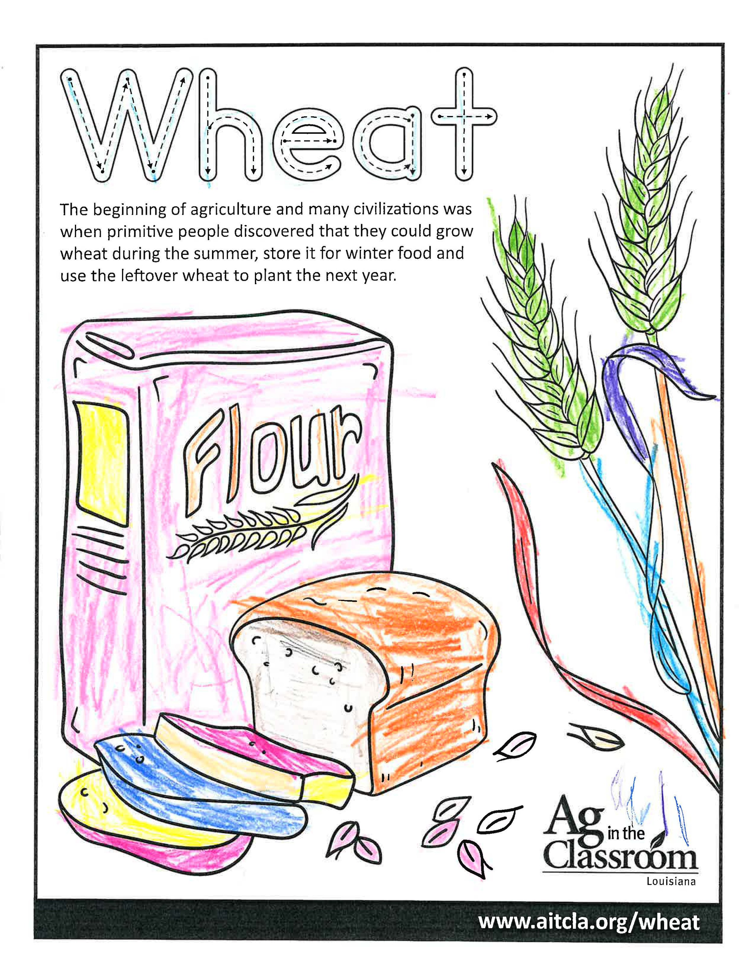 Wheat_LouisianaAgWeek2024_Page_4.jpg