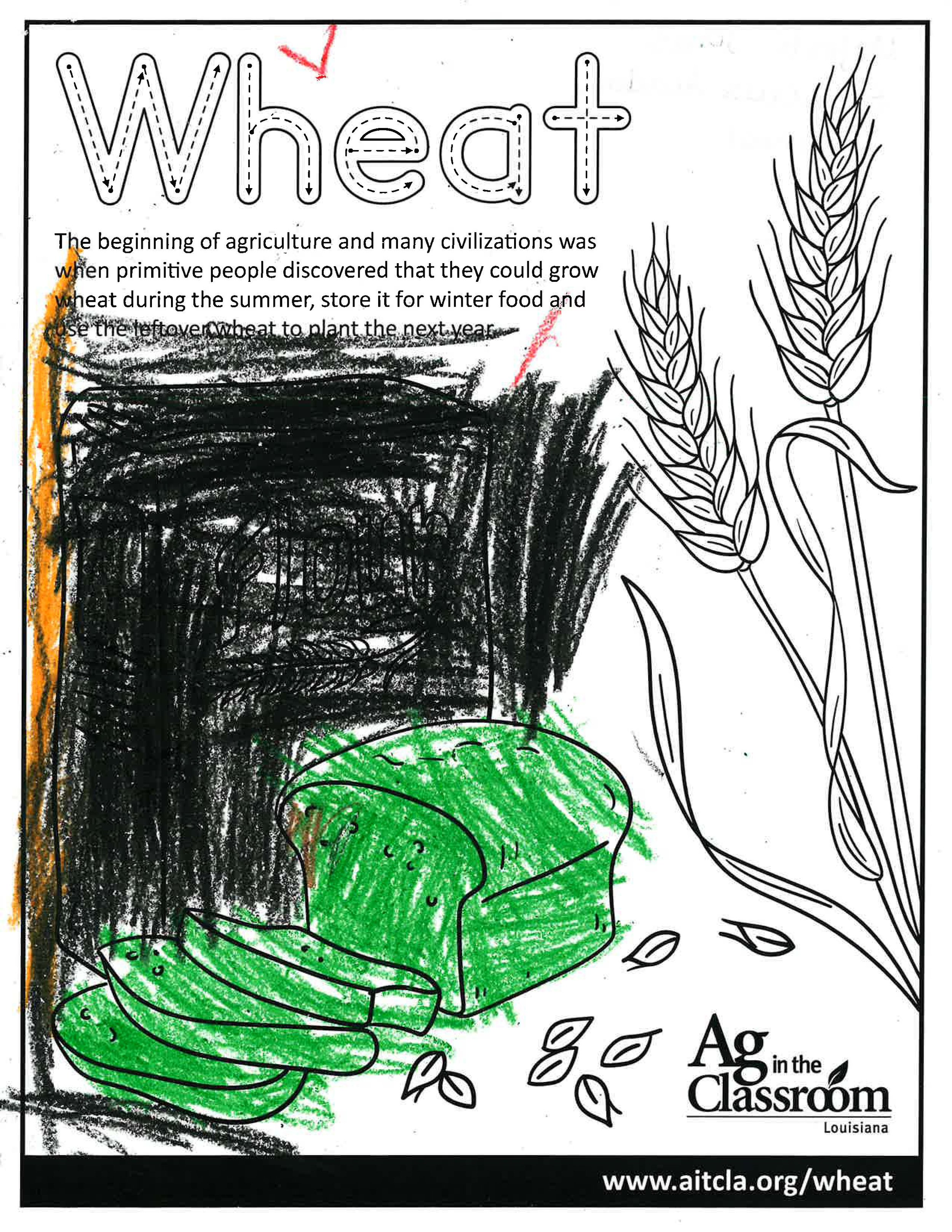 Wheat_LouisianaAgWeek2024_Page_3.jpg