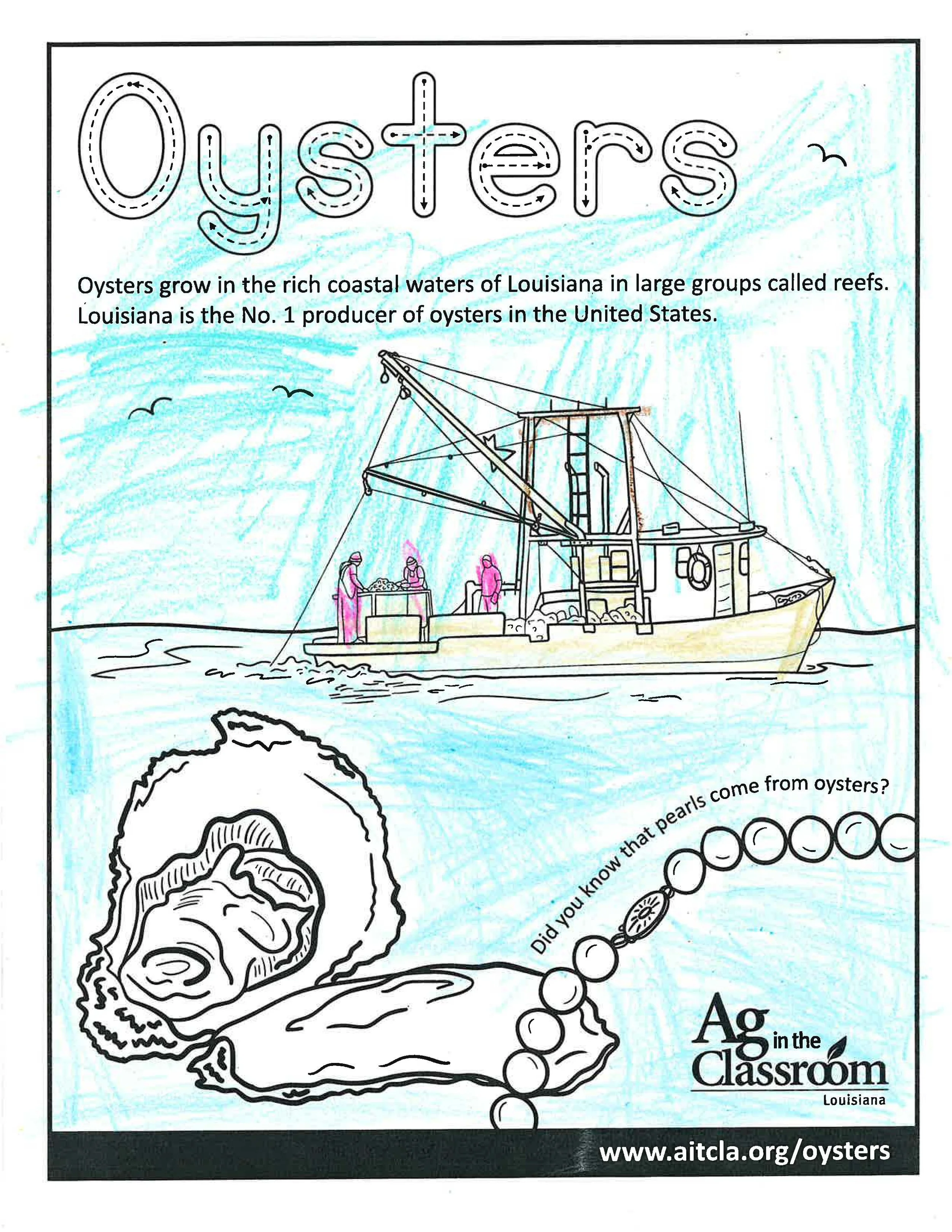 Oysters.jpg