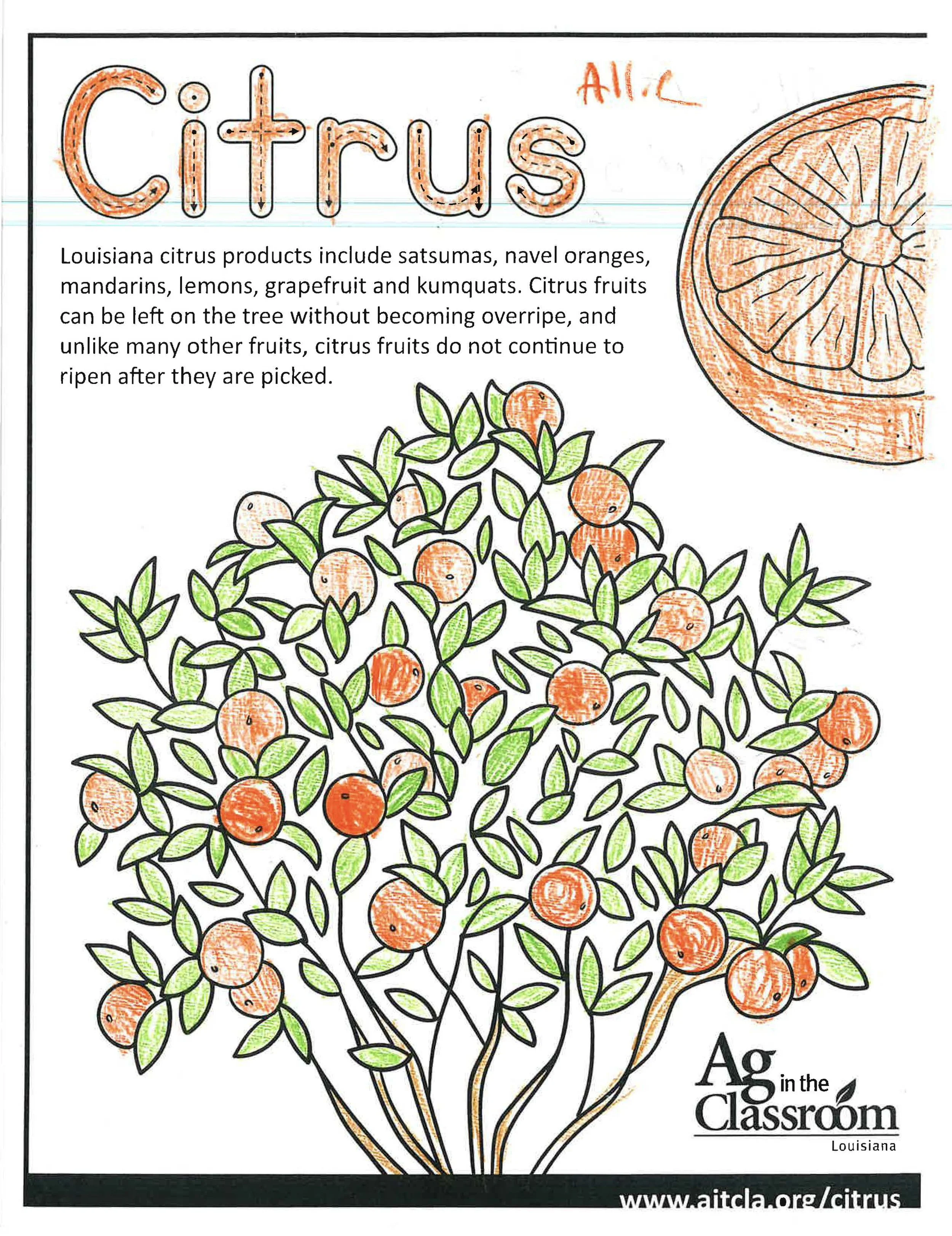 Citrus Color Sheets 2026_Page_01.jpg