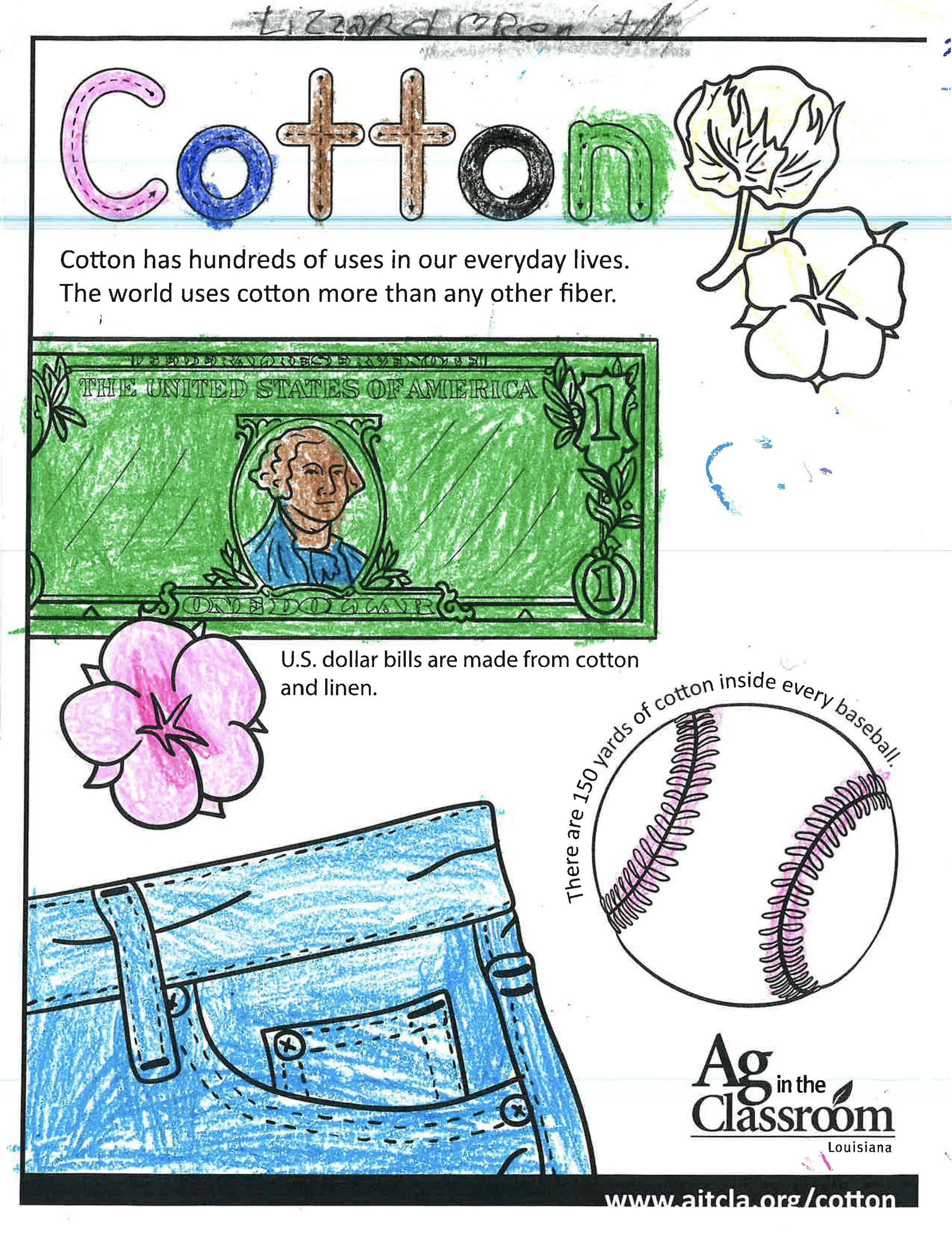 Cotton Color Sheets 2026_Page_8.jpg