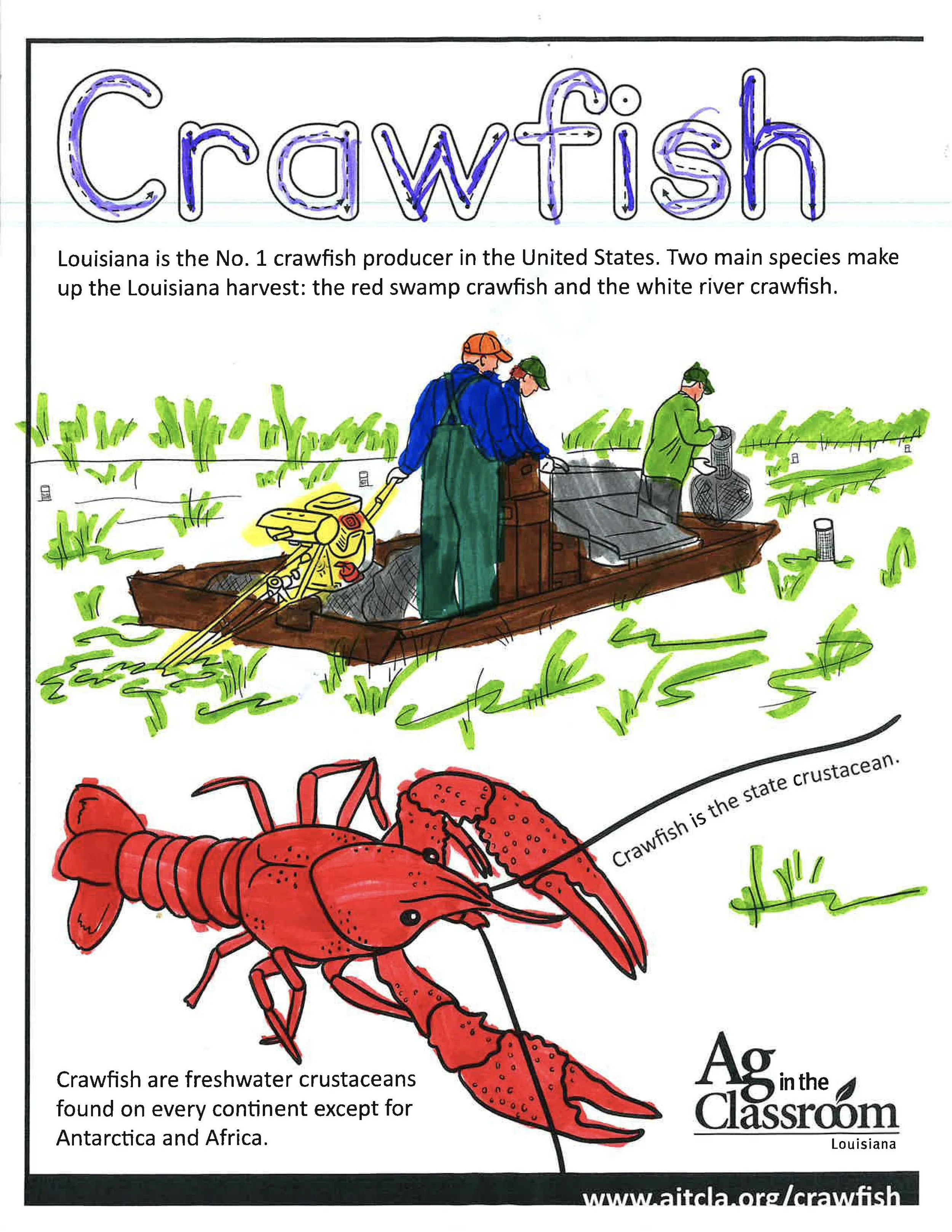 Crawfish Color Sheets 2026_Page_03.jpg
