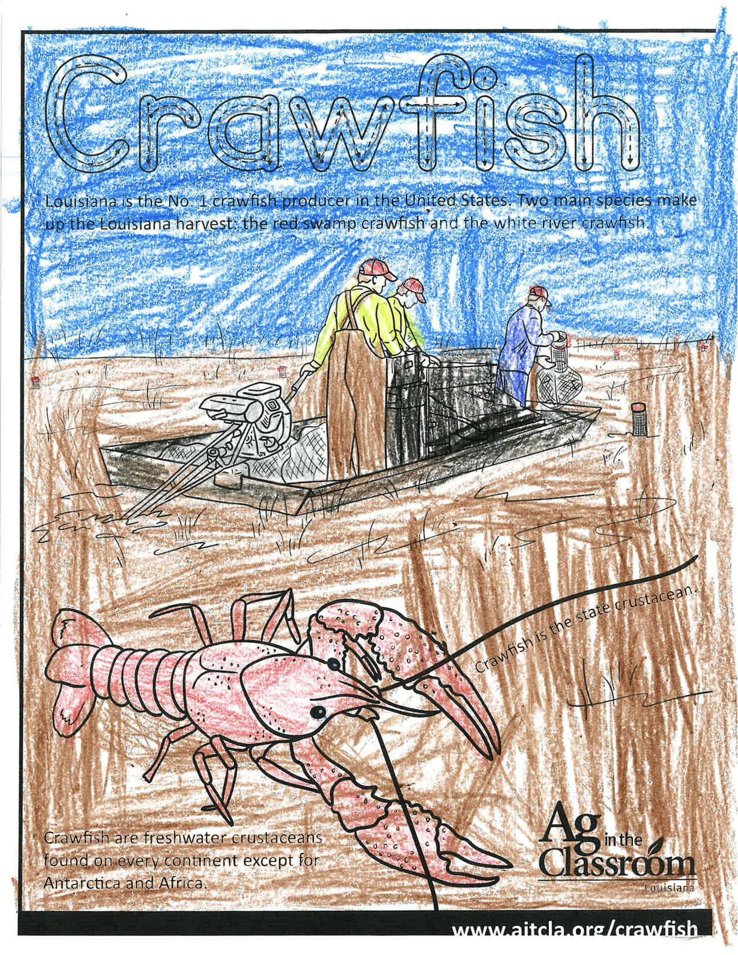 Crawfish Color Sheets 2026_Page_07.jpg