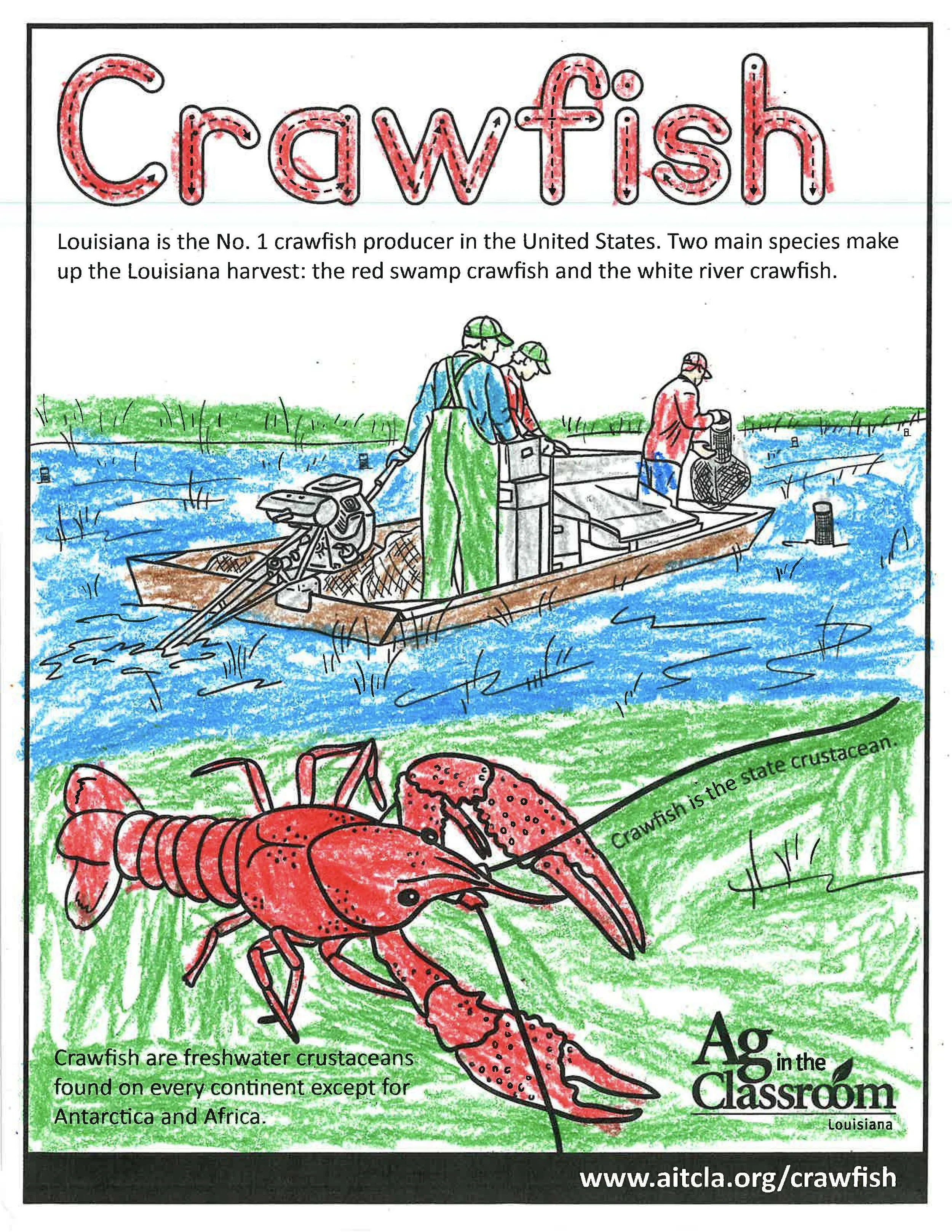 Crawfish Color Sheets 2026_Page_12.jpg