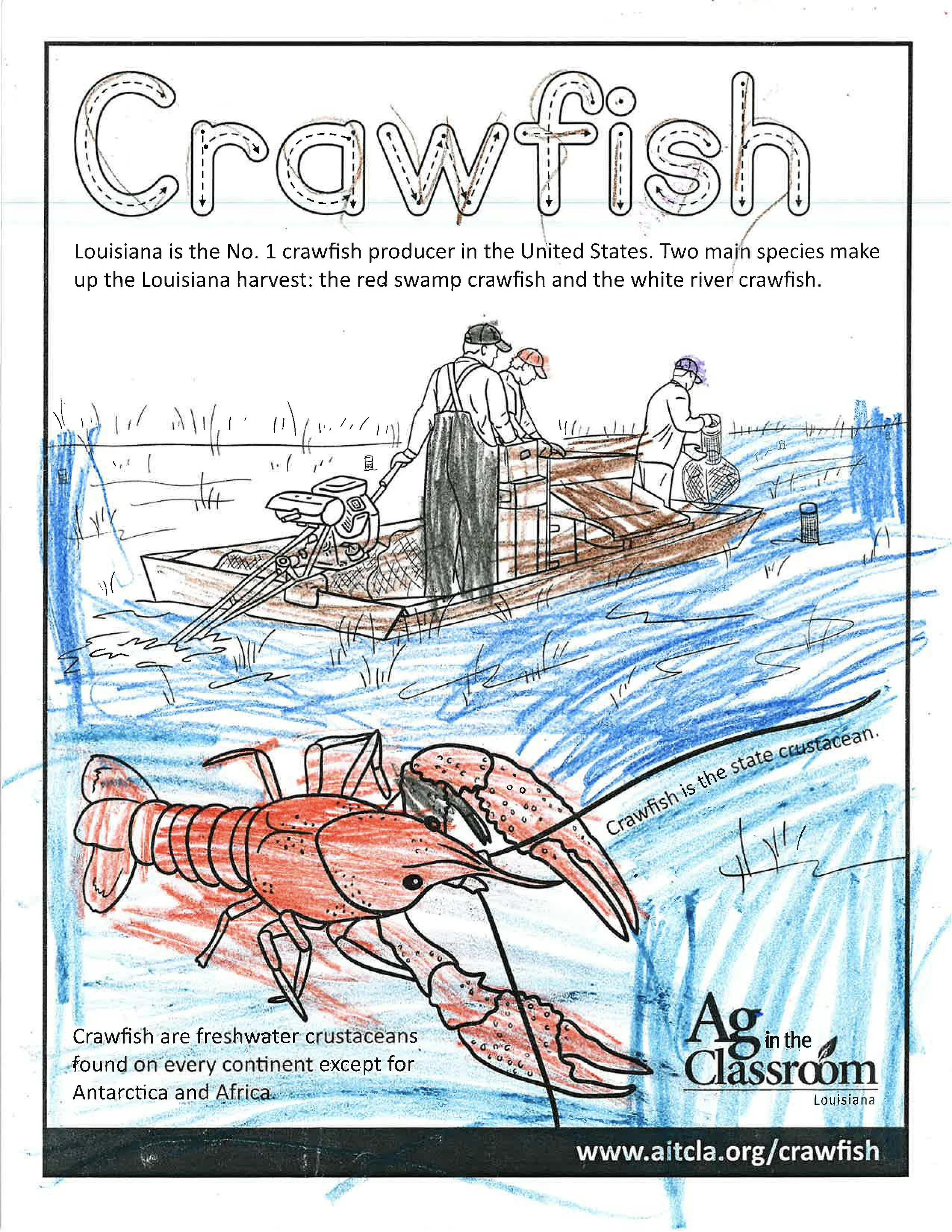 Crawfish Color Sheets 2026_Page_13.jpg